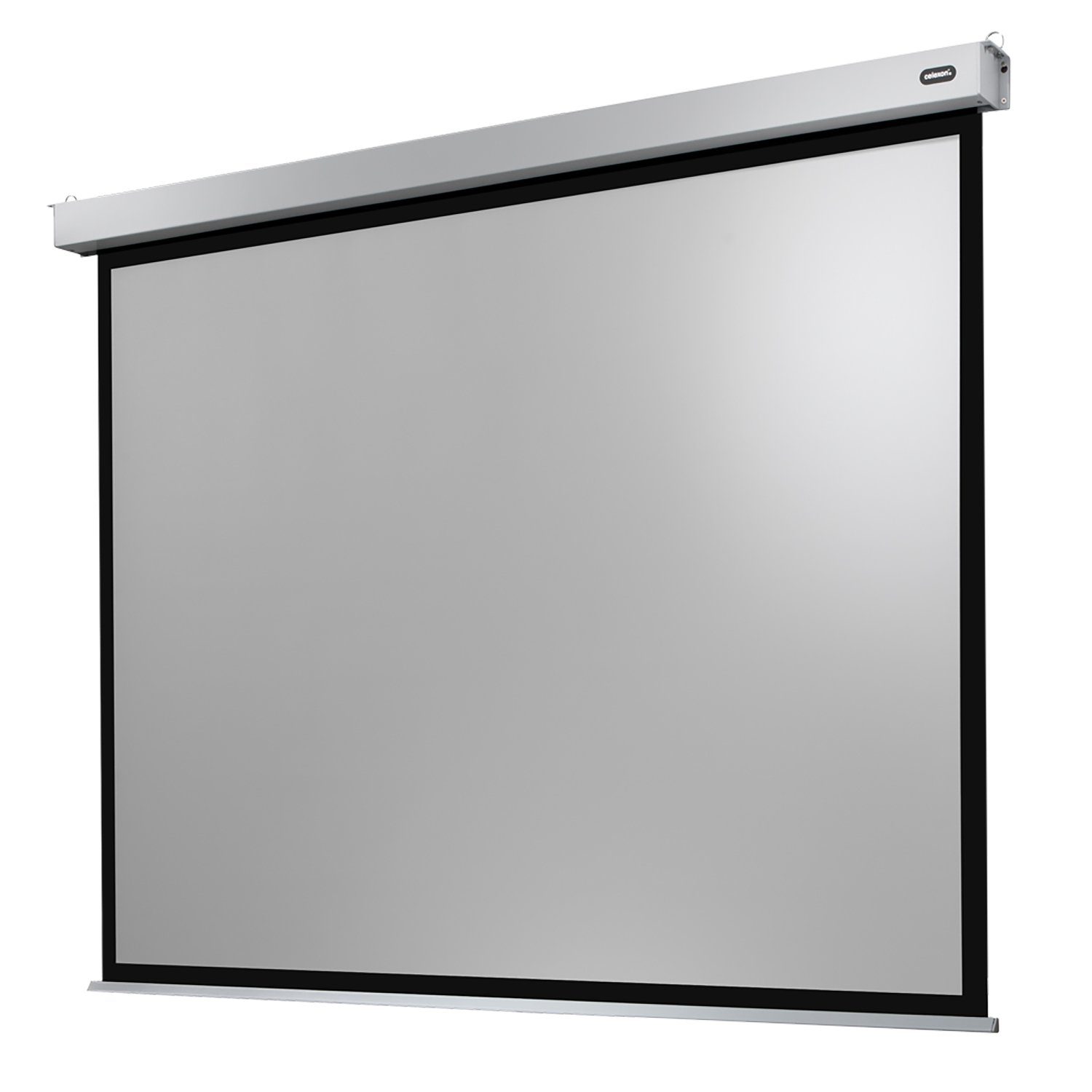 Celexon Professional Plus Motorleinwand (schwarze Rückseite)