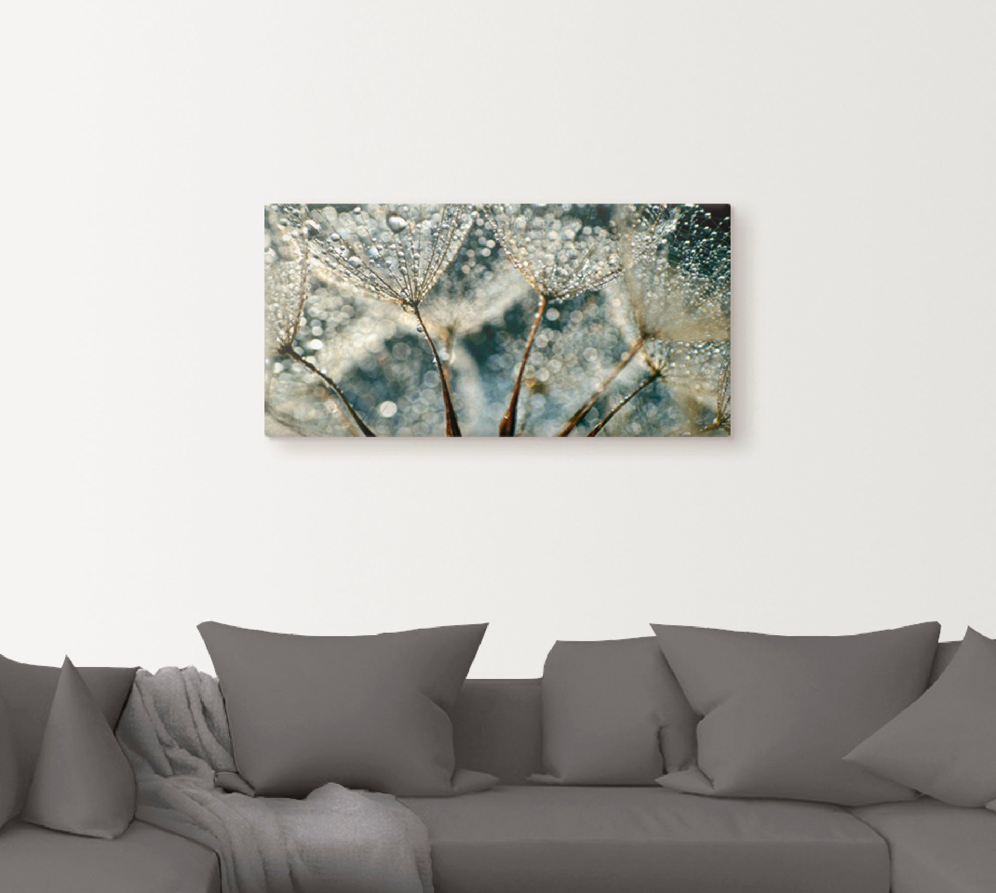 Artland Wandbild St), in oder als Regenschauer, Pusteblume Alubild, Leinwandbild, versch. Blumen (1 Größen Poster Wandaufkleber