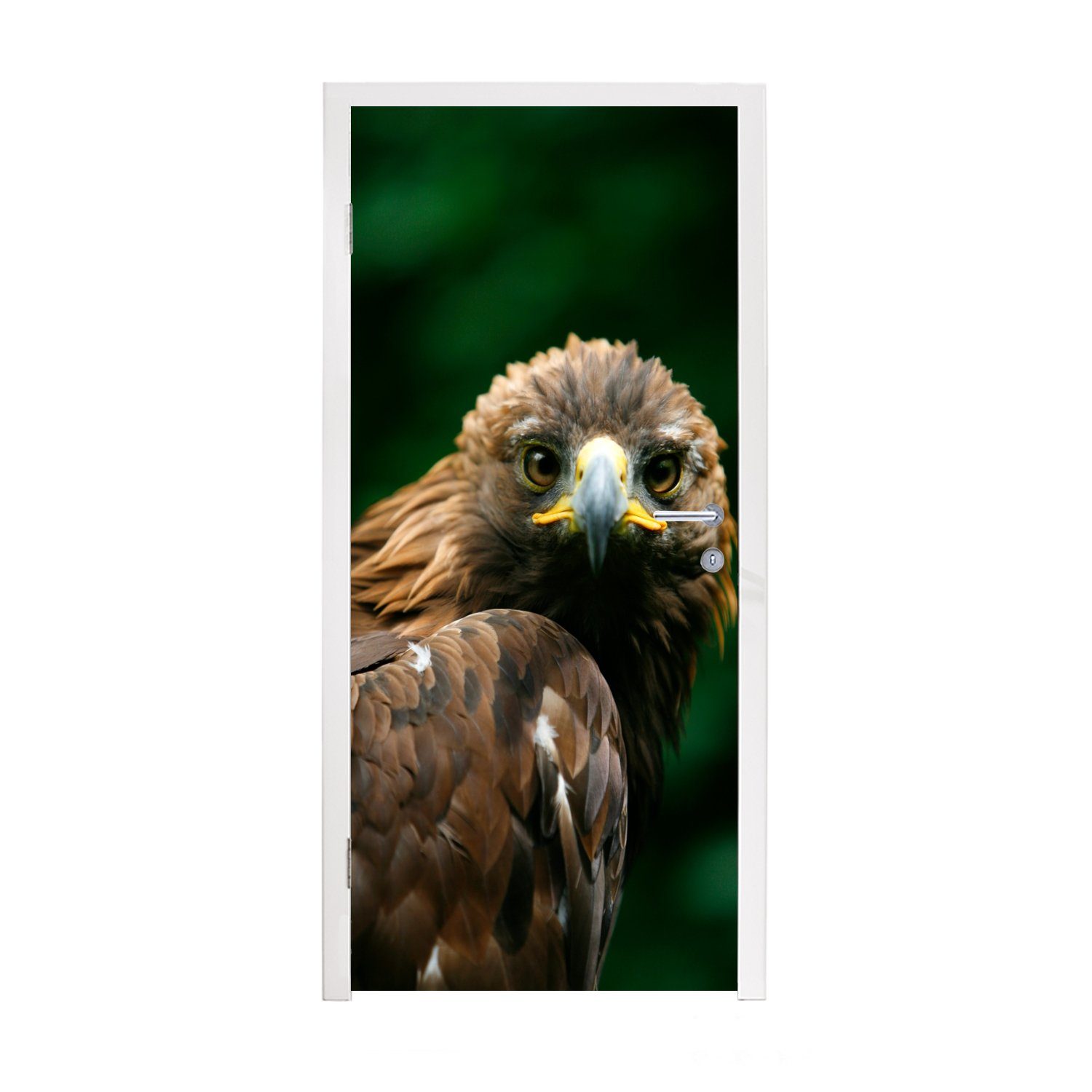 MuchoWow Türtapete Adler - Braun - Raubvogel, Matt, bedruckt, (1 St), Fototapete für Tür, Türaufkleber, 75x205 cm