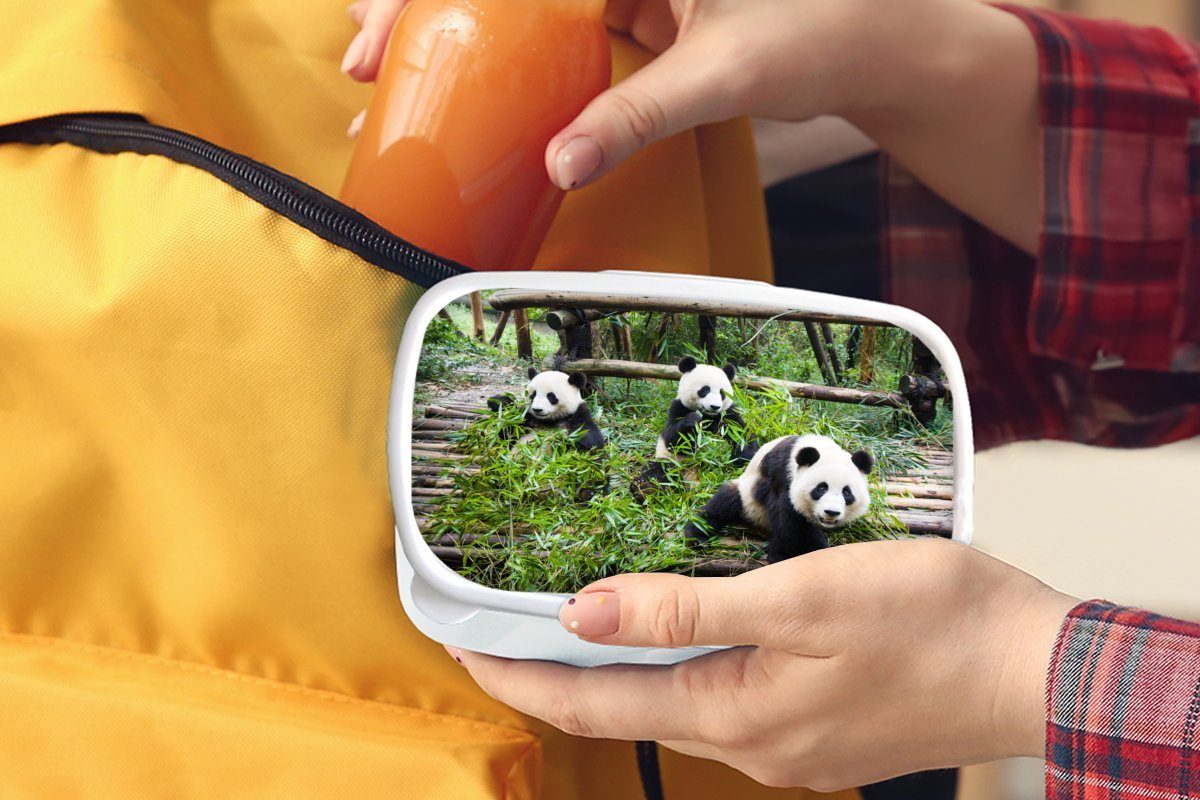 Pandas weiß Blätter, Jungs für und Mädchen Kunststoff, Kinder (2-tlg), Erwachsene, Brotbox Lunchbox Brotdose, - MuchoWow und für Bambus -