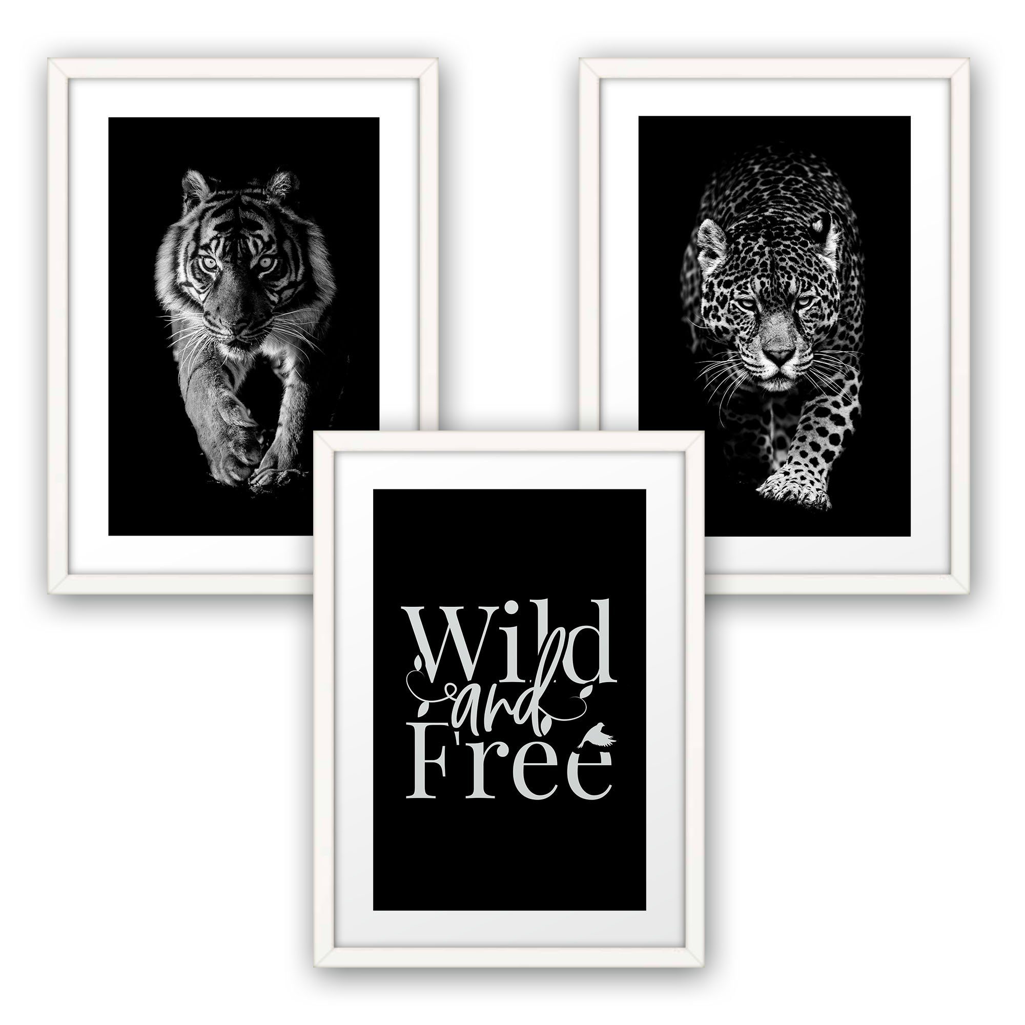 Kreative Feder Poster, Tiger, Leopard, Schwarz-Weiß, Tiere, Katze, Raubkatze, wild, free (Set, 3 St), 3-teiliges Poster-Set, Wandbild, optional mit Rahmen, DIN A4 oder A3