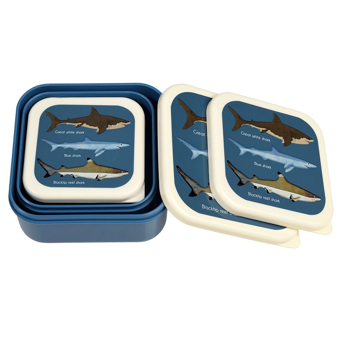 Set Vesperdose Hai Brotbüchse Lunchbox 3er Rex London Brotdose