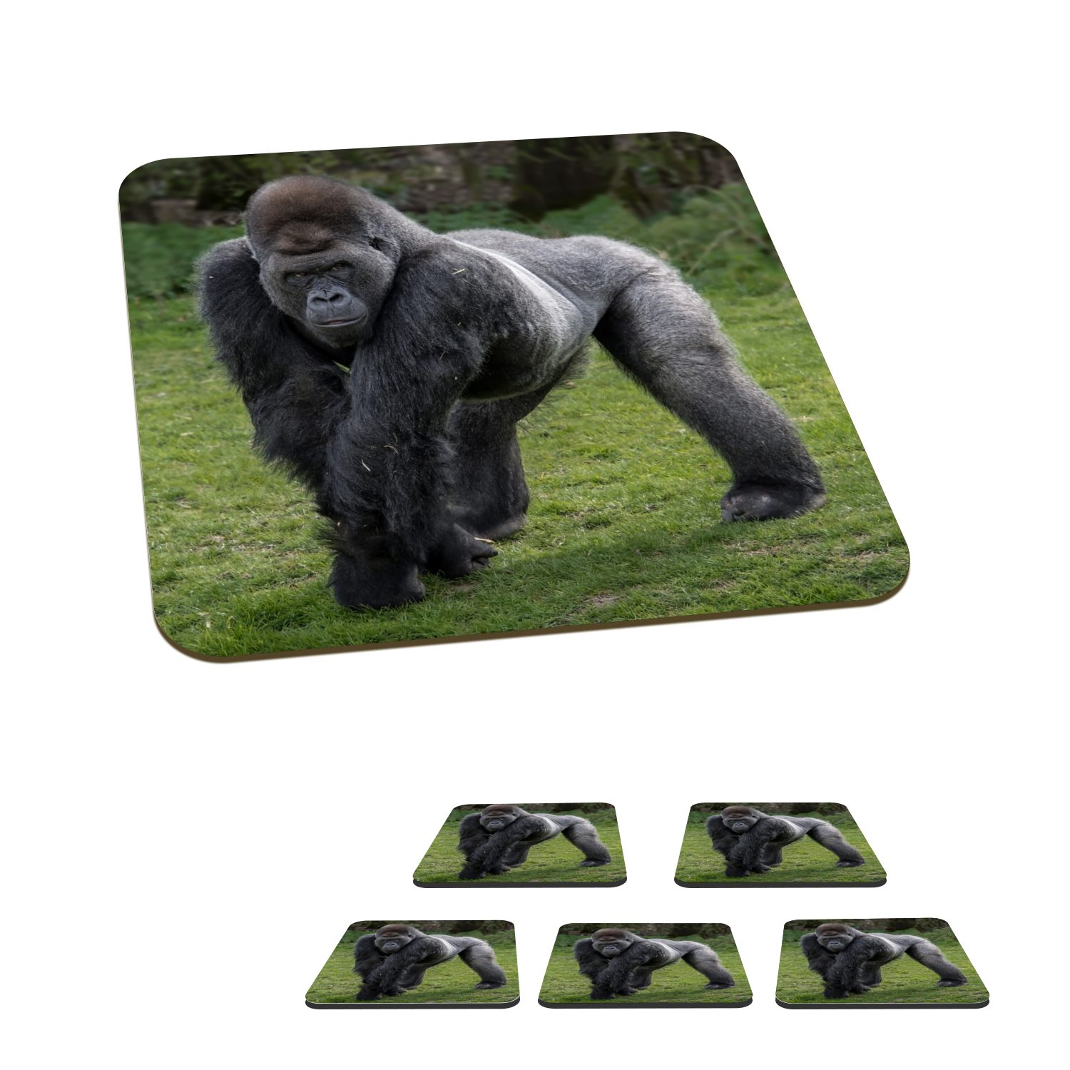 MuchoWow Glasuntersetzer Ein Gorilla geht auf seinen Händen und Beinen, Zubehör für Gläser, 6-tlg., Glasuntersetzer, Tischuntersetzer, Korkuntersetzer, Untersetzer, Tasse | Getränkeuntersetzer