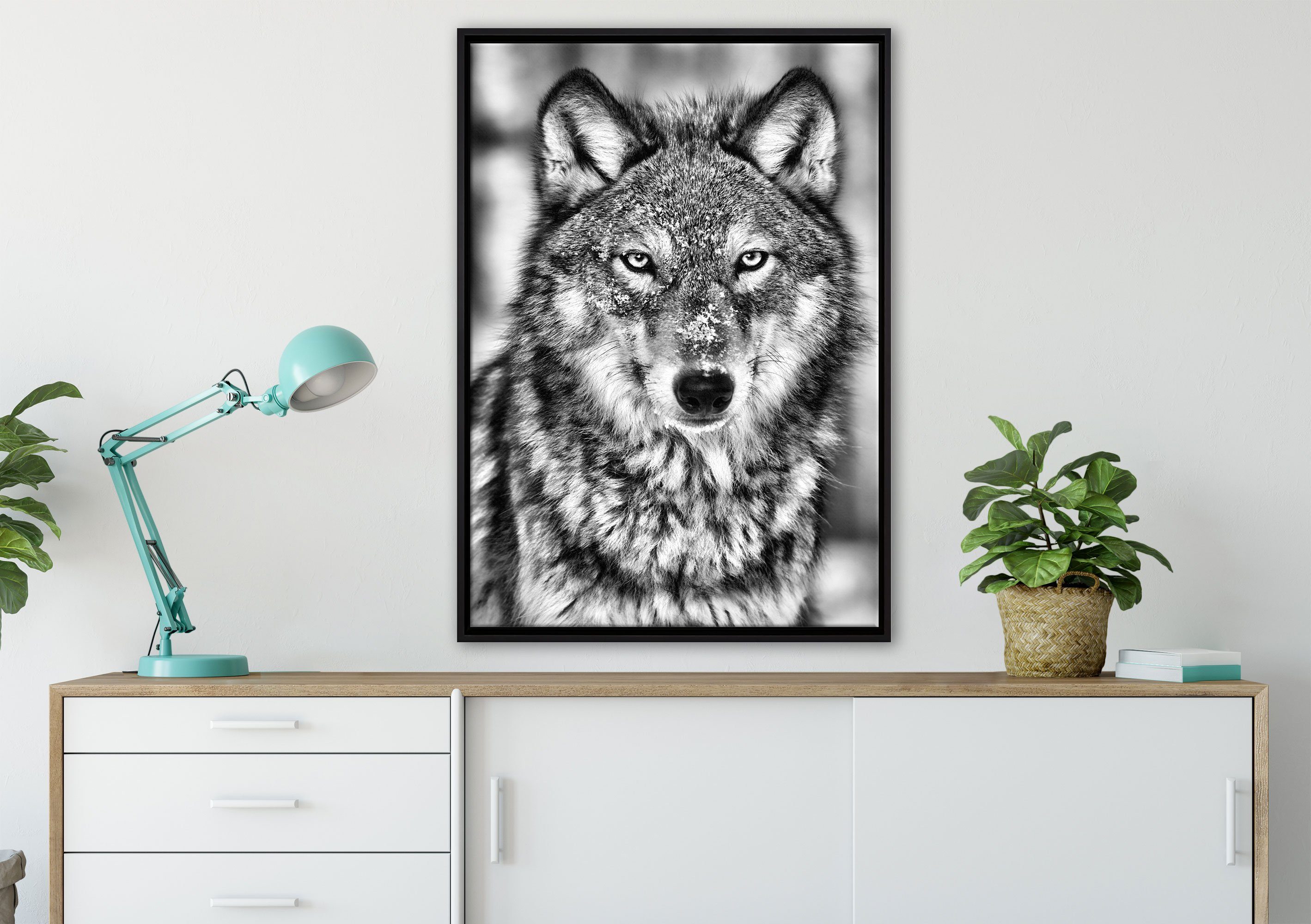 in einem Leinwandbild Leinwandbild Pixxprint gefasst, bespannt, Wolf, fertig inkl. Wachsamer Zackenaufhänger St), Wanddekoration (1 Schattenfugen-Bilderrahmen