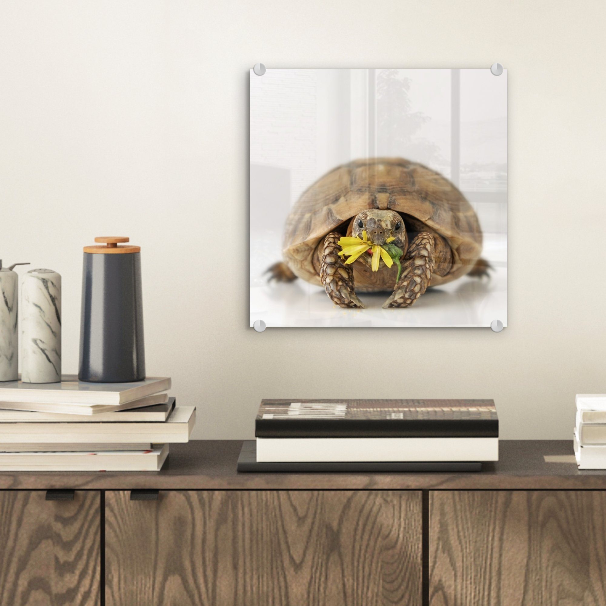 Wanddekoration Schildkröte auf weißen MuchoWow Glas vor isst Wandbild auf Glas St), - einem - Acrylglasbild Hintergrund, Foto Glasbilder Blume (1 Bilder - hellen