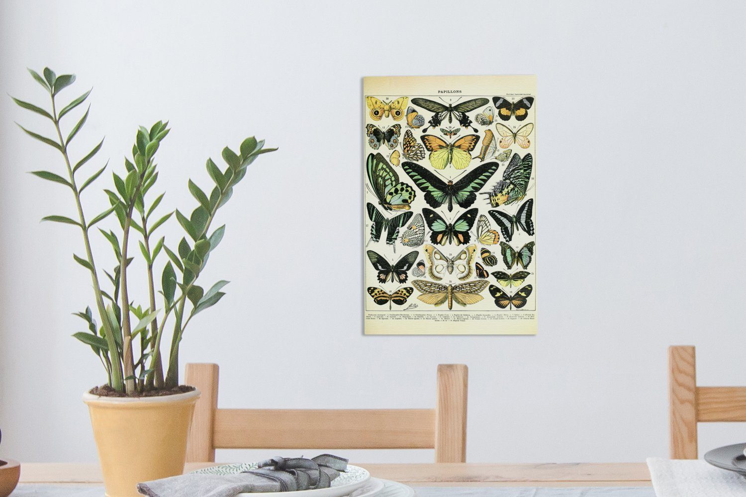 Leinwandbild - Zackenaufhänger, (1 OneMillionCanvasses® Grün, bespannt cm Tiere St), Schmetterlinge Gemälde, Leinwandbild fertig - inkl. 20x30