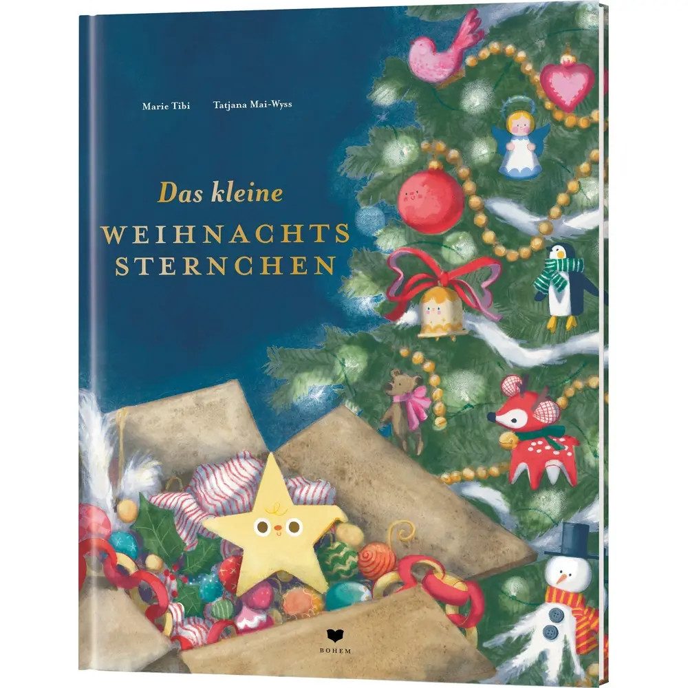 COPPENRATH DIE SPIEGELBURG Aufbewahrungsbox Das kleine Weihnachtssternchen