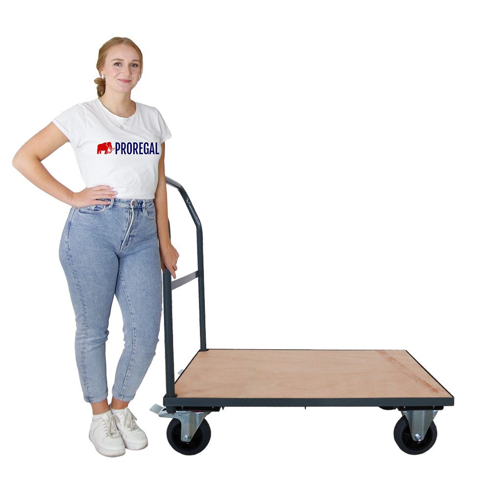 PROREGAL® Transportwagen Handwagen Materialwagen HxBxL 102x60x98cm Traglast 450kg, Transporthilfe Rollwagen robuster Stahlrahmen