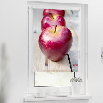 Seitenzugrollo Klemmfix Motiv Apfel, LICHTBLICK ORIGINAL, Lichtschutz, ohne Bohren, freihängend, Klemmfix, bedruckt