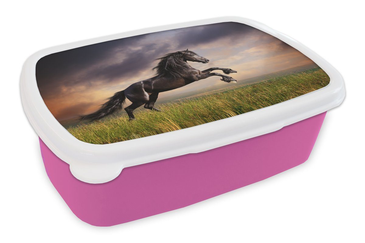 MuchoWow Lunchbox Pferd - Luft - Nacht - Gras, Kunststoff, (2-tlg), Brotbox für Erwachsene, Brotdose Kinder, Snackbox, Mädchen, Kunststoff rosa