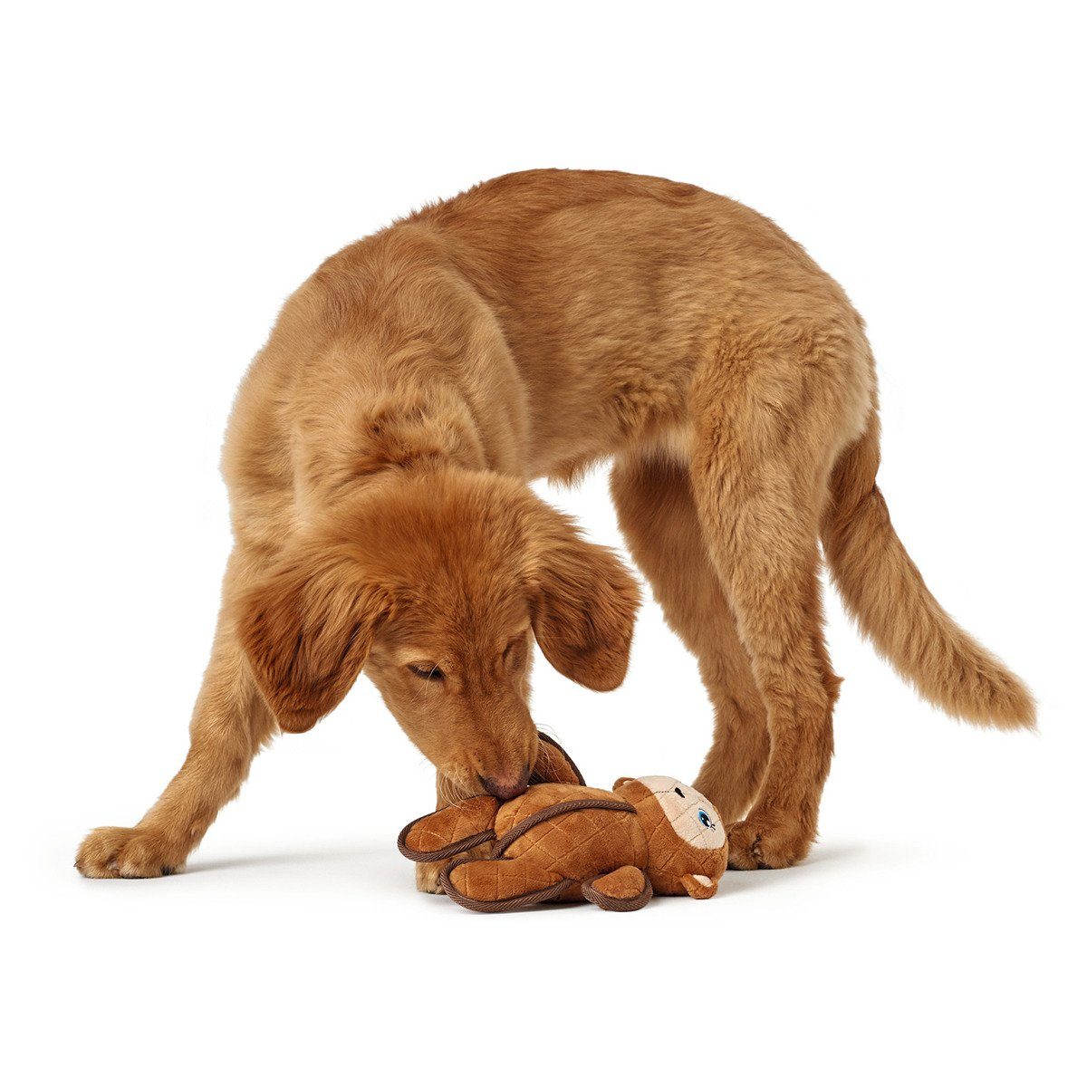 Thumbnail - Hunter Tierbedarf Tierkuscheltier Hundespielzeug Tough Toys Affe
