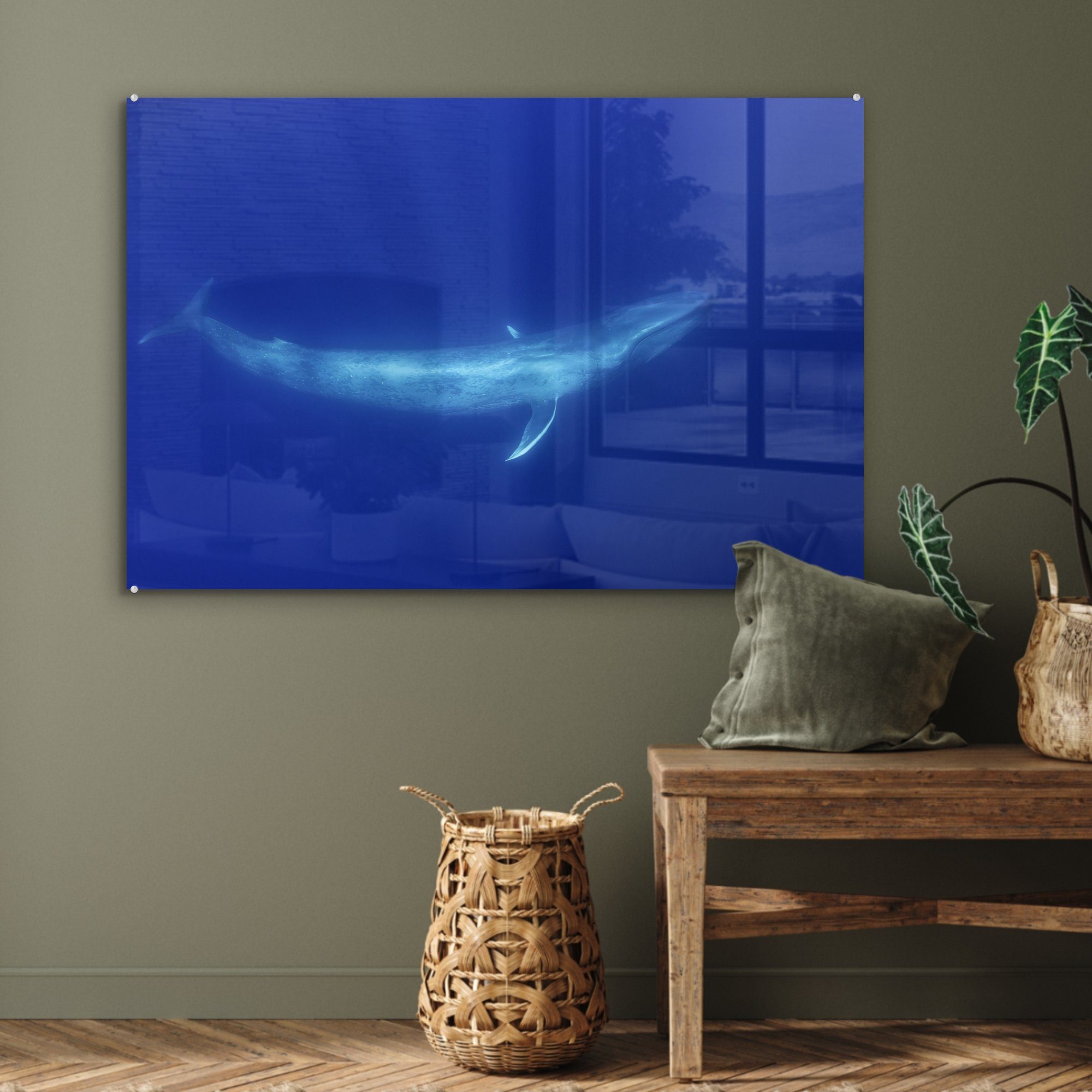 Schlafzimmer Acrylglasbilder (1 St), Wohnzimmer Ozean, - - Acrylglasbild Blauwal MuchoWow & Wal