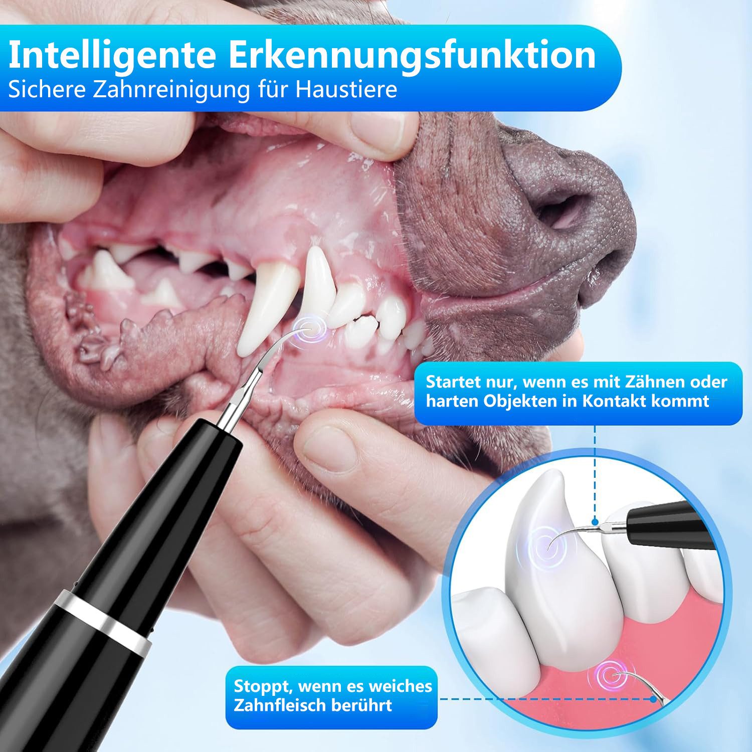 Futicare Zahnpflege-Set Ultraschall-Zahnreiniger für Hunde/Katzen 5 Modi & 3 Köpfe, IPX7 wasserdicht (1500mAh)​
