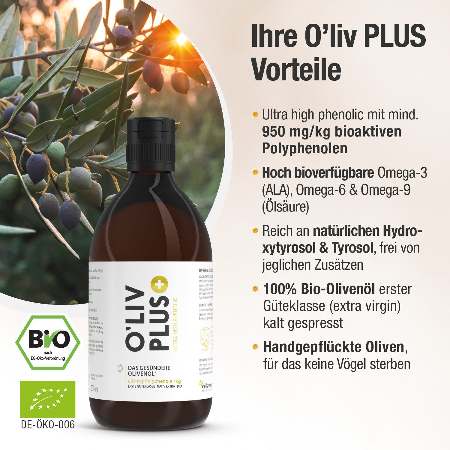 Cellavent Healthcare Ultra High Phenolic Olivenöl - O'Liv PLUS Öl