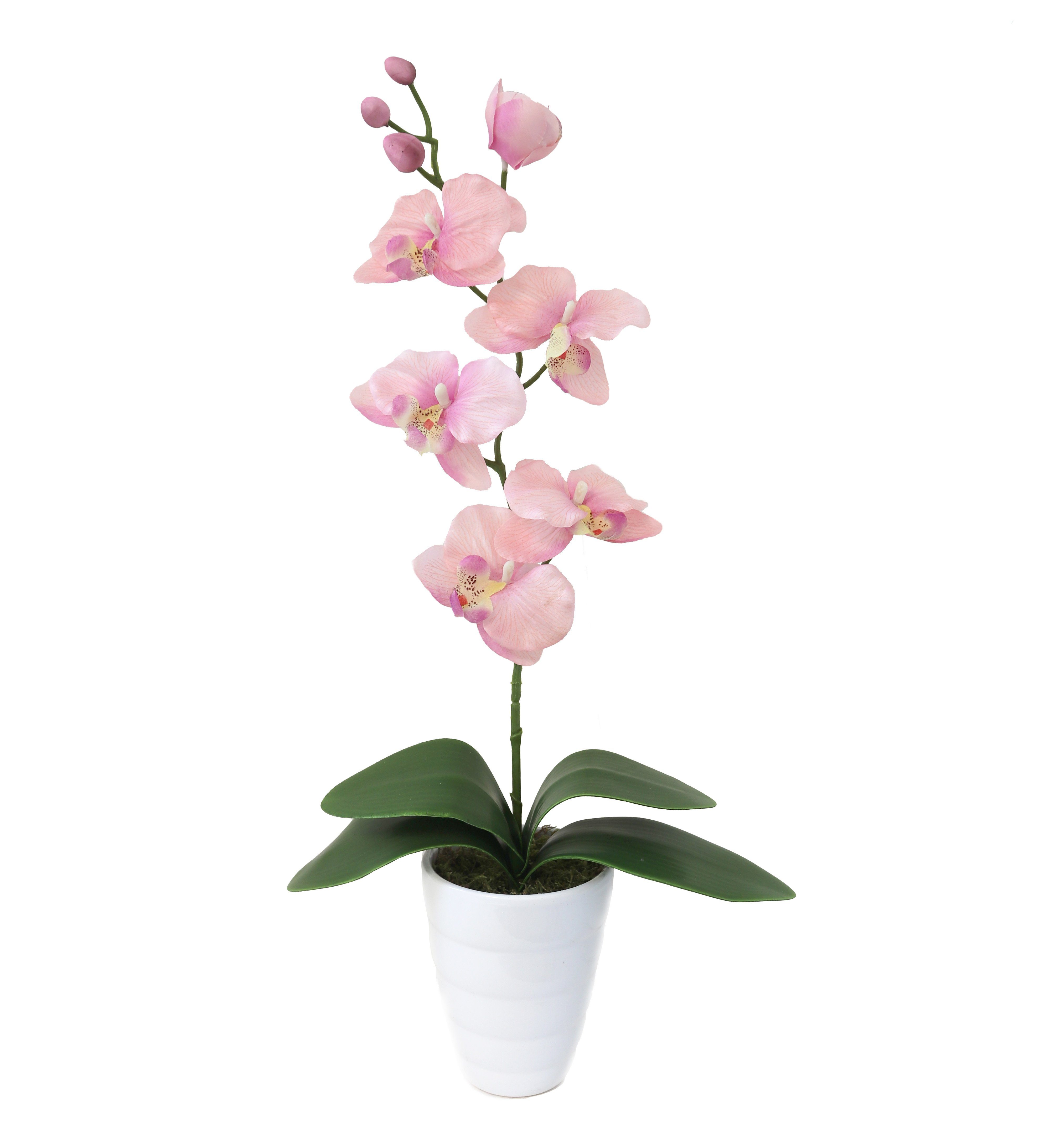 Kunstpflanze Orchidee kunstblumen Orchideen künstlich orchideentopf  kunstblumen 600 Orchideen künstlich, PassionMade, Höhe 50 cm, Künstliche  Orchidee im Topf wie echt