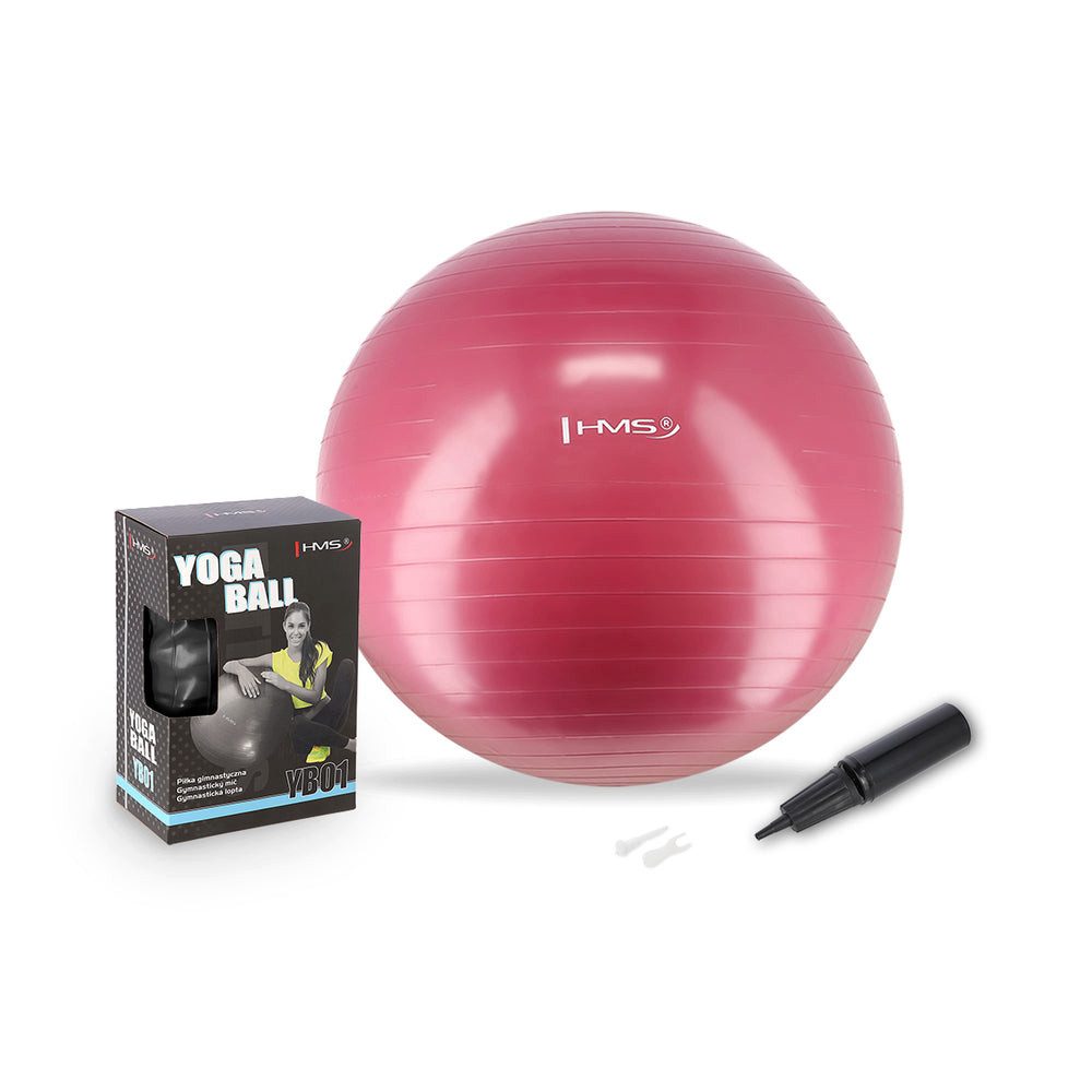 HMS Gymnastikball Sitzball Fitnessball Yogaball (Spar-Set, 1-St., Ø 65 cm rutschfest), Gummi, rutschfest, bis 100 kg, Luftpumpe