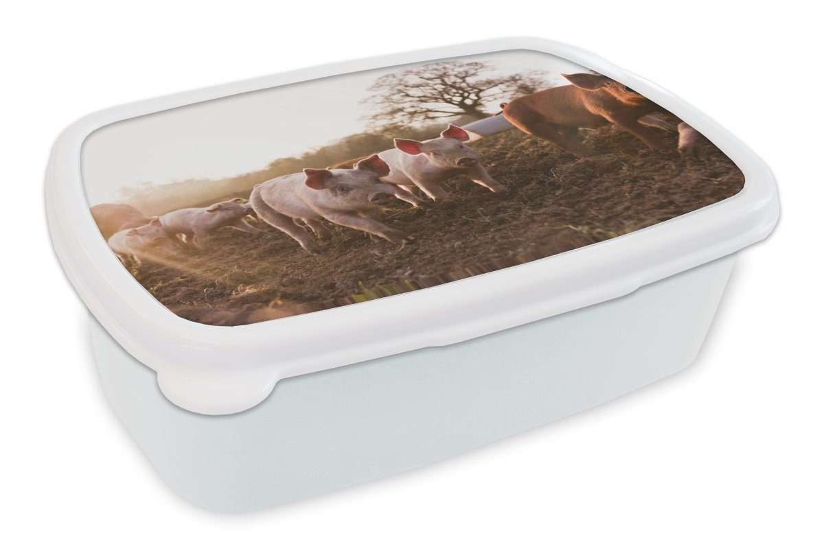 MuchoWow Lunchbox Schwein - Schlamm - Sonne, Kunststoff, (2-tlg), Brotbox für Kinder und Erwachsene, Brotdose, für Jungs und Mädchen weiß