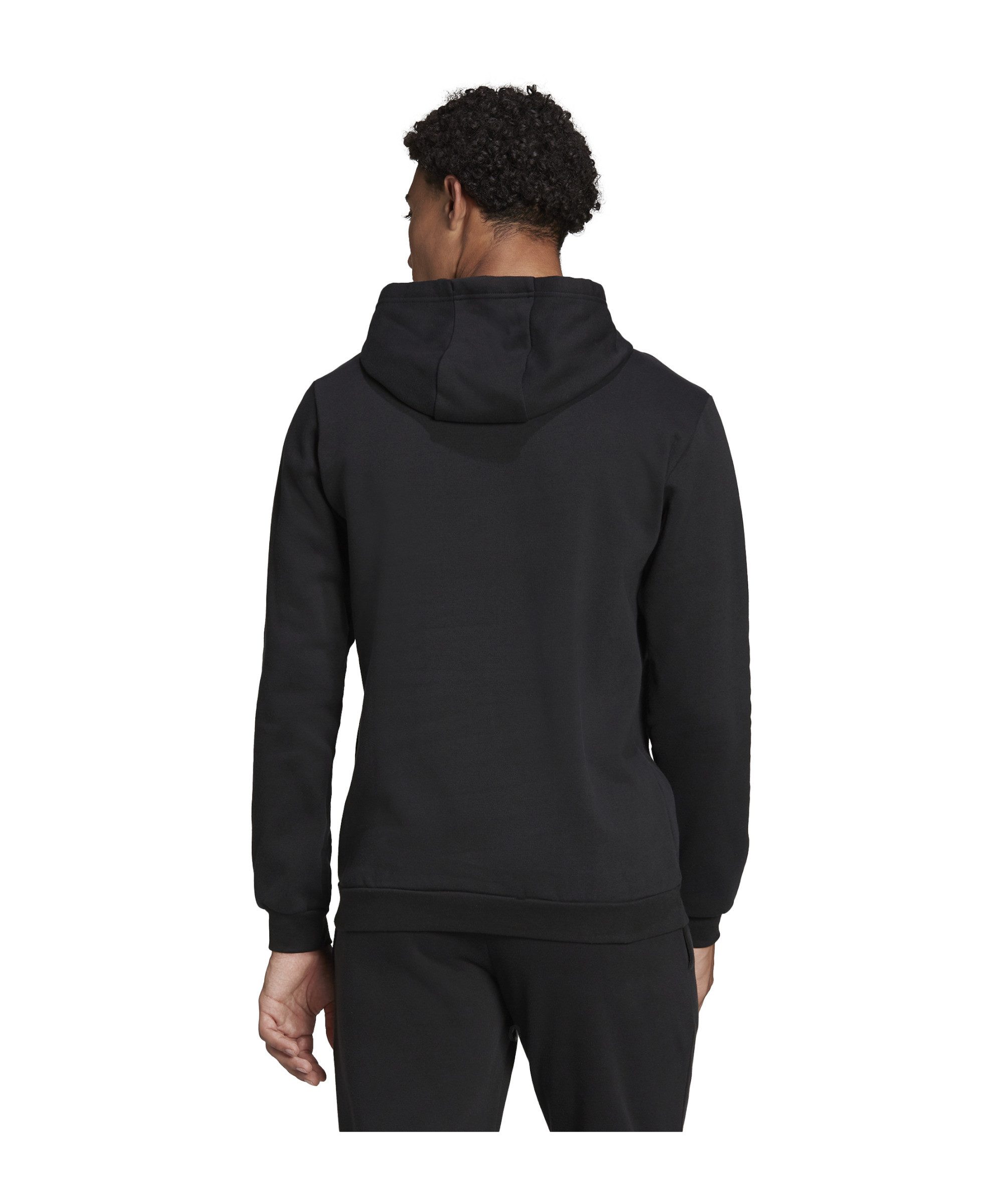 adidas Performance Sweatshirt adidas Performance Entrada 22 Hoody Herren Ba günstig online kaufen