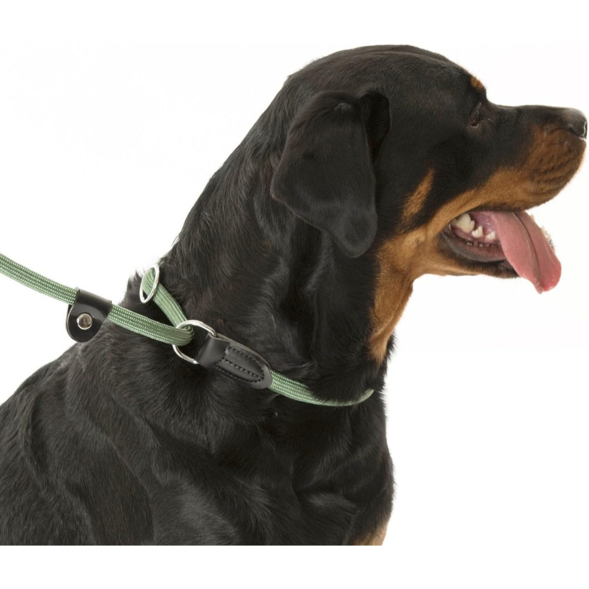 Company of Animals Hundeleine Hundeleine 3-in-1 – Retrieverleine mit Stoppring, Größe L