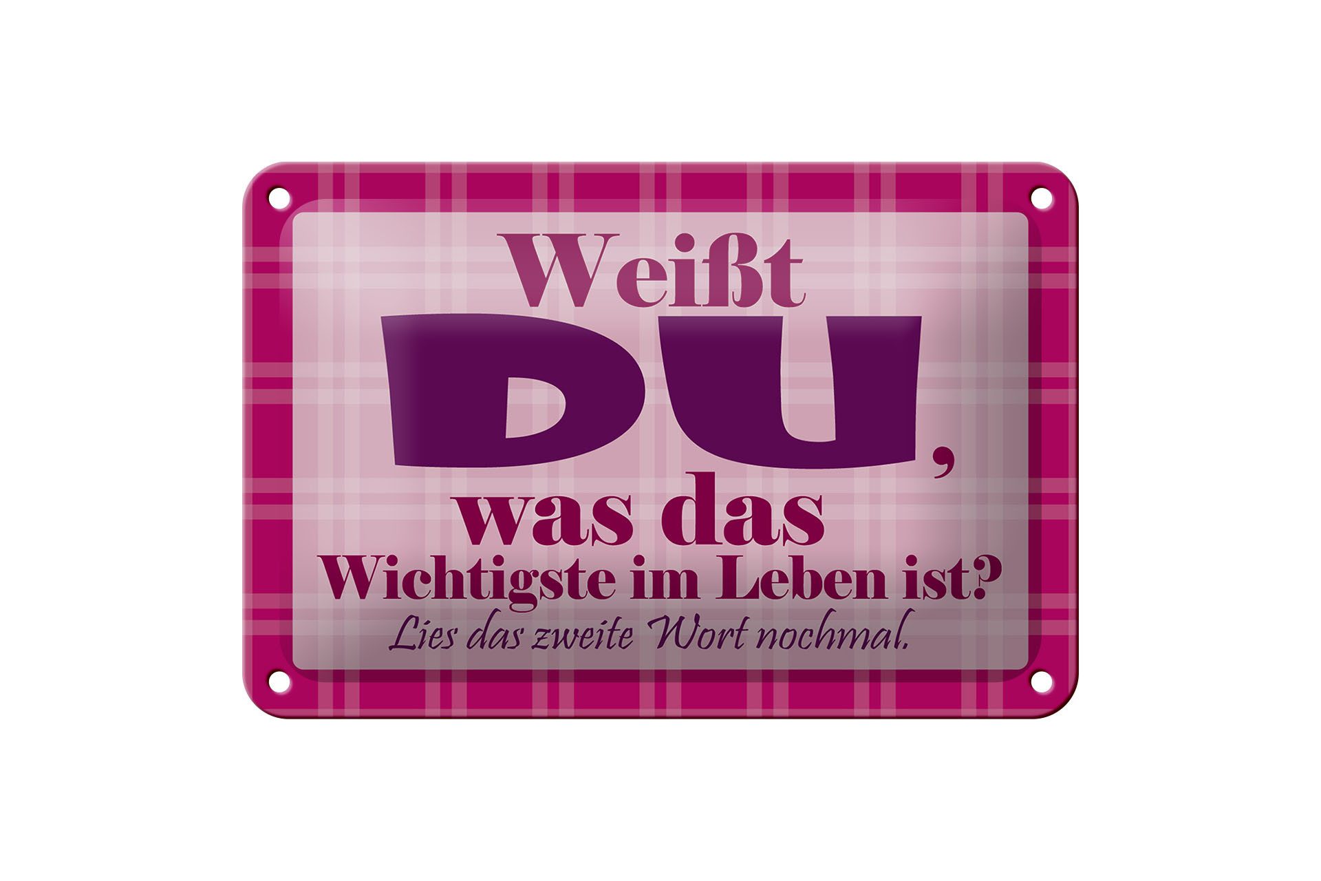 Metallschild Spruch 18x12cm Wichtigste bist DU