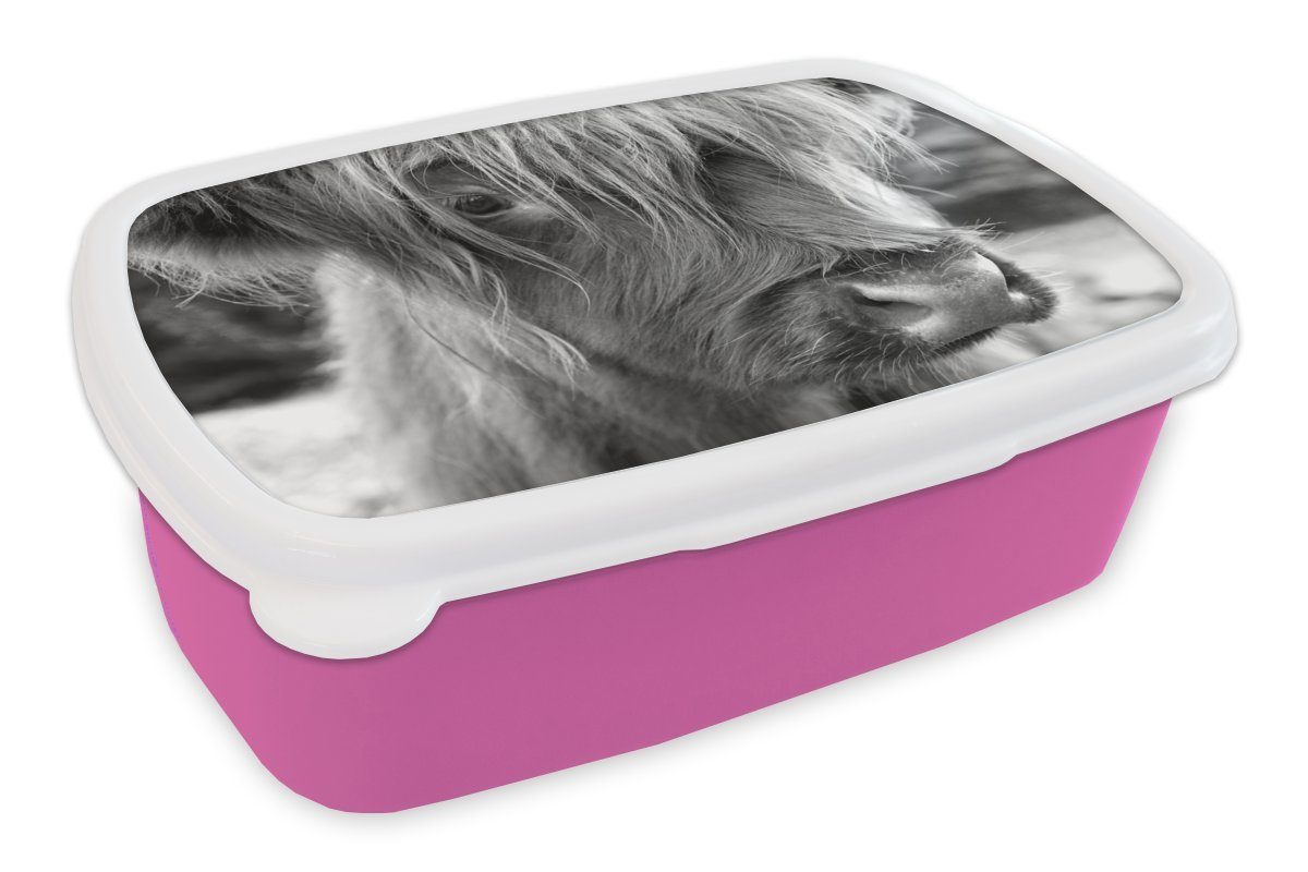 MuchoWow Lunchbox Nahaufnahme Scottish Highlander Kalb - schwarz und weiß, Kunststoff, (2-tlg), Brotbox für Erwachsene, Brotdose Kinder, Snackbox, Mädchen, Kunststoff rosa