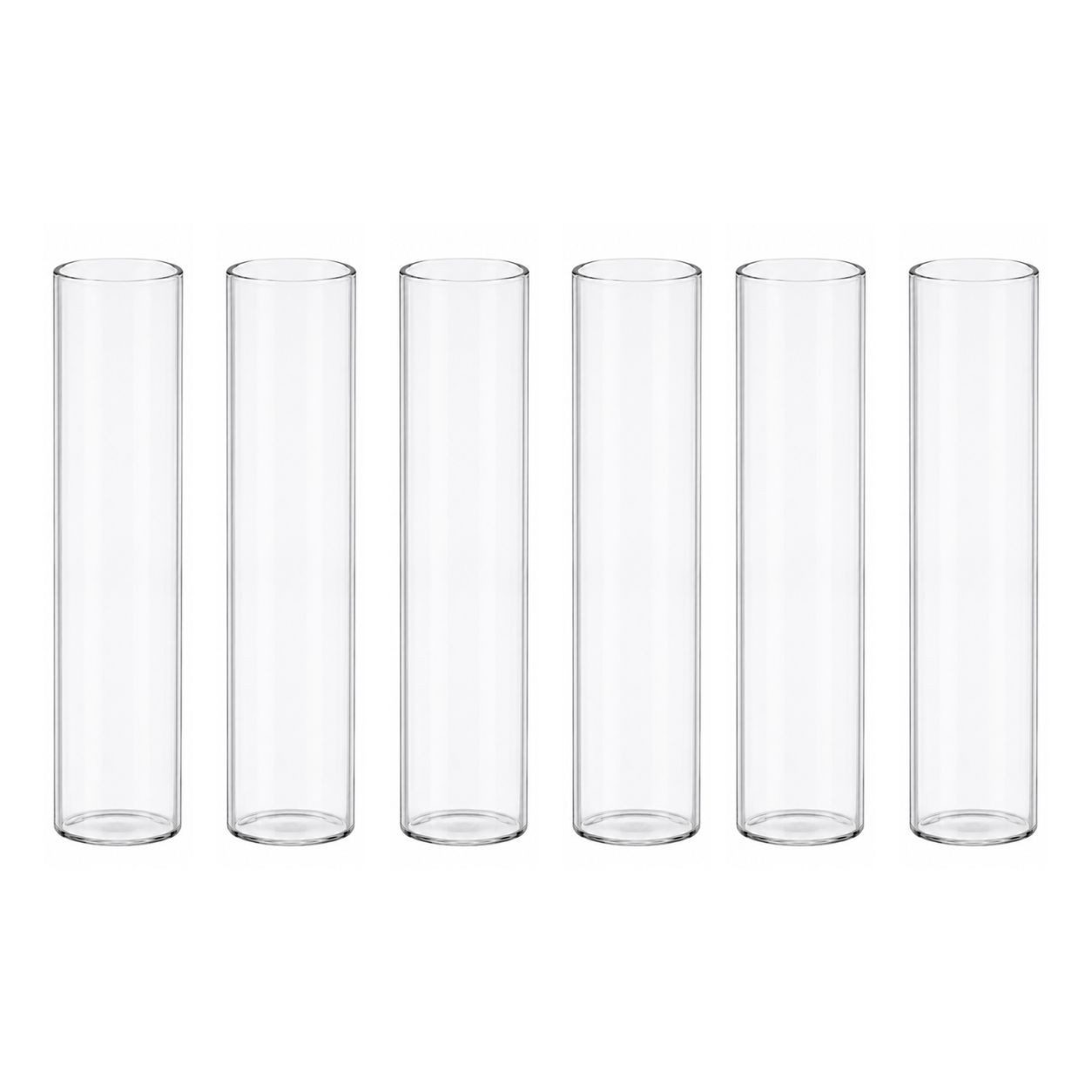 naninoa GmbH Dekovase Reagenzglas 6 Stück, 14 x 2,9cm, Blumenvase Glasröhrchen Deko