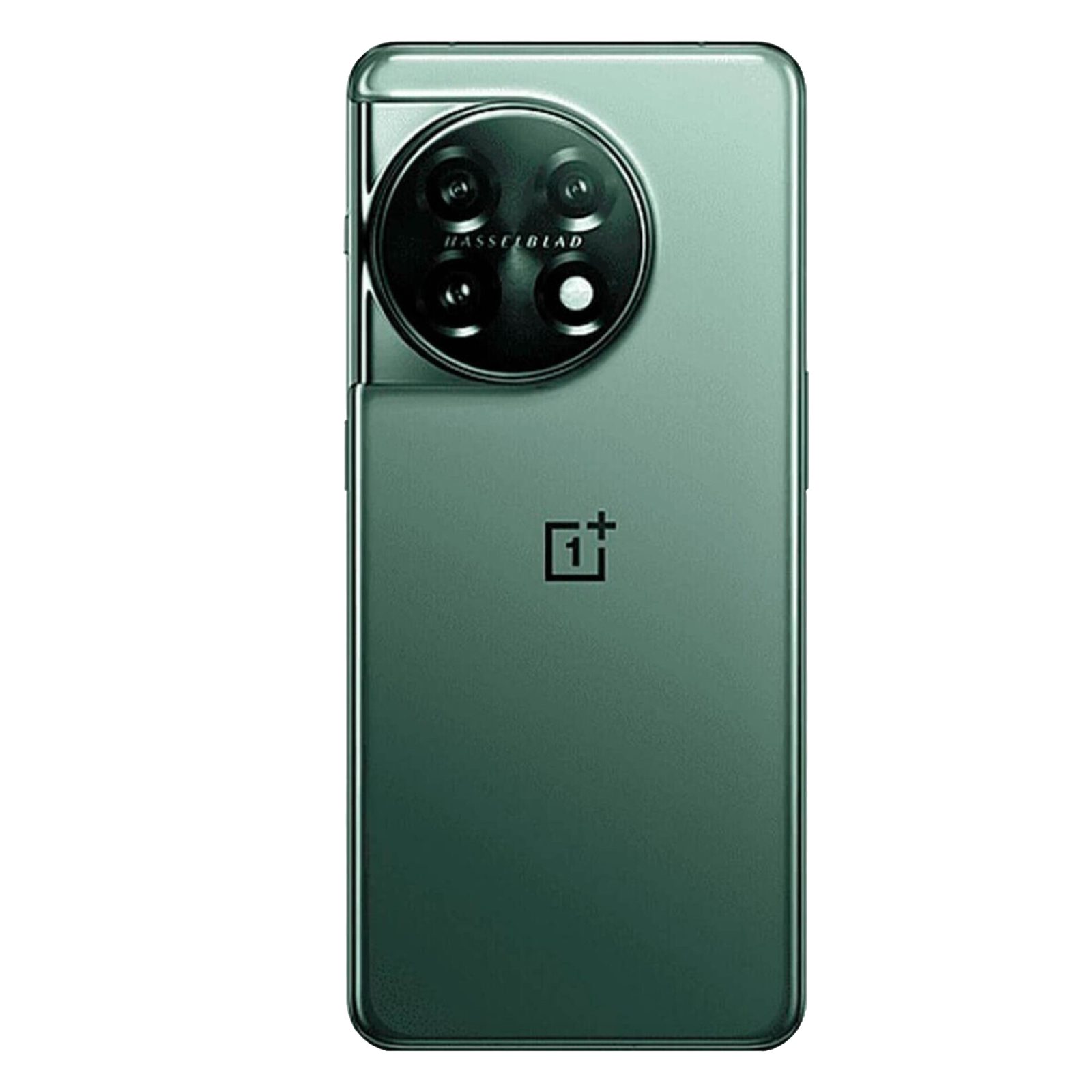 OnePlus 11 5G Smartphone Hasselblad Kamera Android Handy Smartphone (256 GB Speicherplatz)