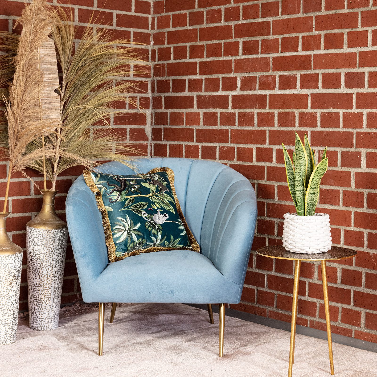 Flowerbox Zimmerpflanze Bogenhanf - Sansevieria trifasciata, pflegeleicht - Höhe ca. 35 cm, Topf-Ø 12 cm