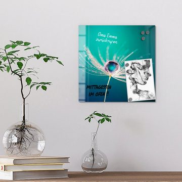 DEQORI Magnettafel 'Samen mit Wassertropfen', Whiteboard Pinnwand beschreibbar