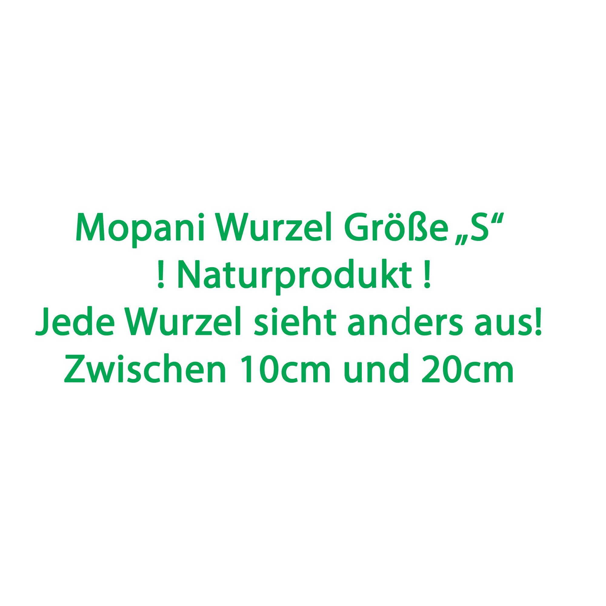 Deggelbam Aquarium Mopani Wurzel Eisenholzwurzel Aquarium versch. Größen S-XL, Echtholzwurzel zur Aquariumdekoration, Aquascaping