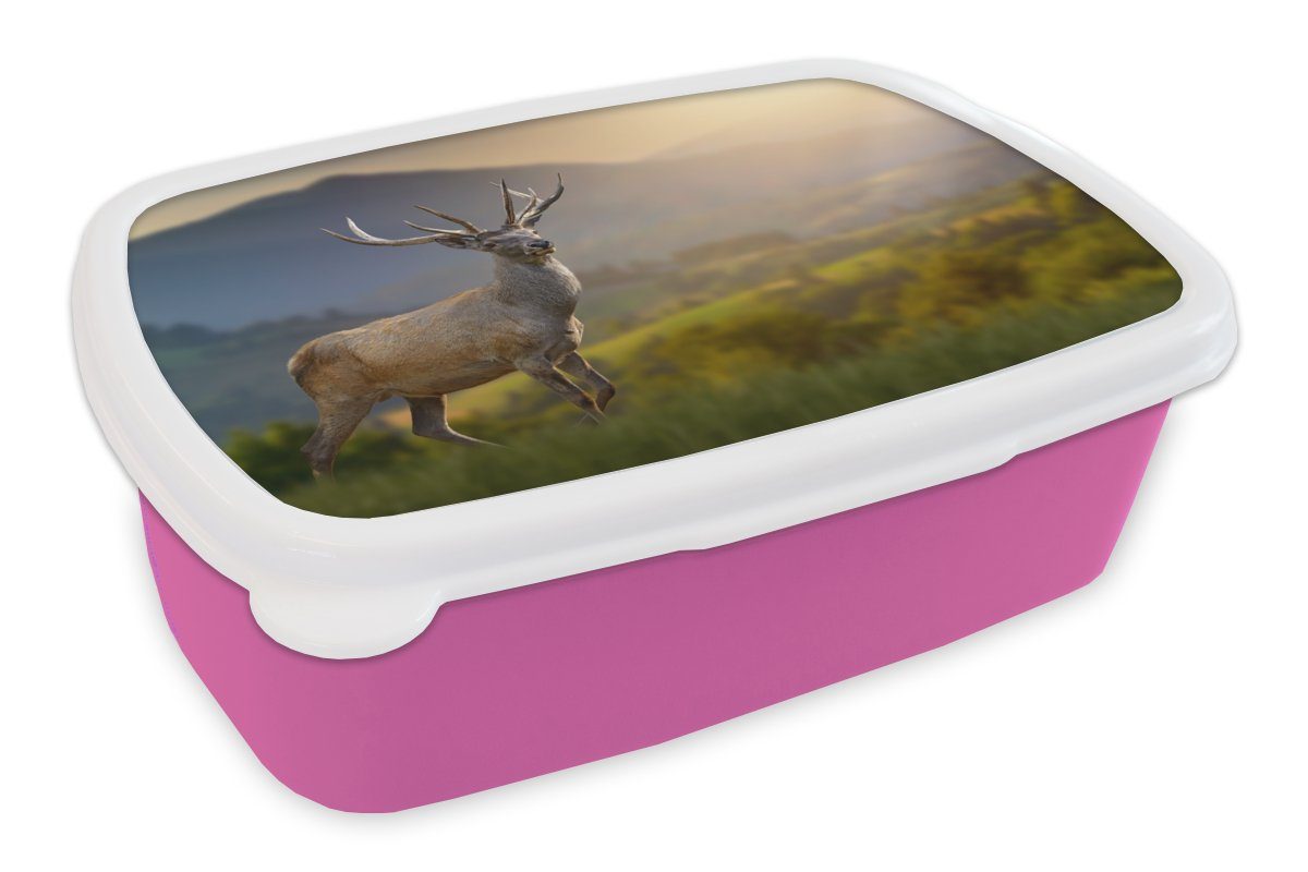 MuchoWow Lunchbox Hirsche - Berg - Gras - Sonnenuntergang - Tiere - Natur, Kunststoff, (2-tlg), Brotbox für Erwachsene, Brotdose Kinder, Snackbox, Mädchen, Kunststoff rosa