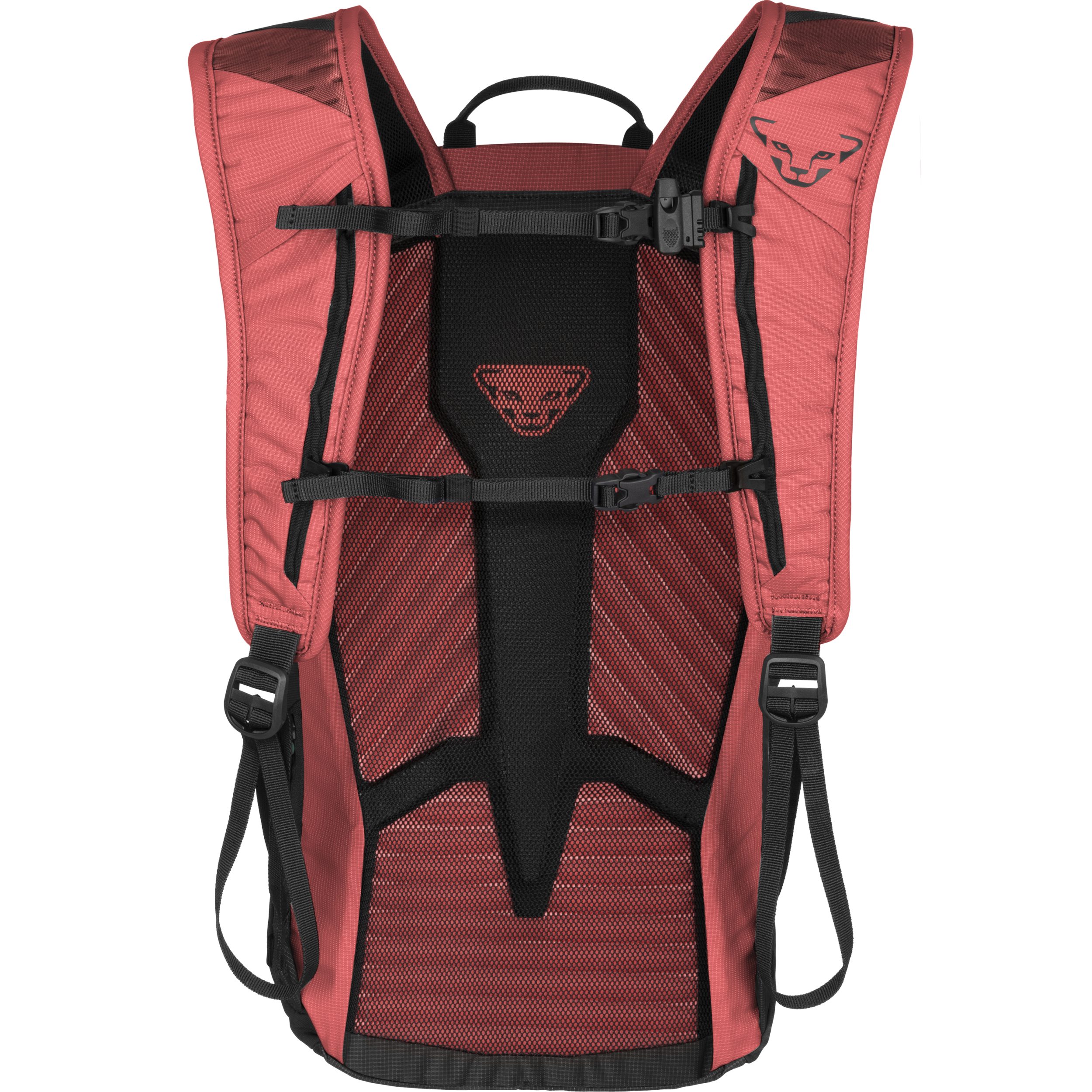 Dynafit Cityrucksack TRANSALPER 16 BACKPACK W CABANA/BLACK OUT