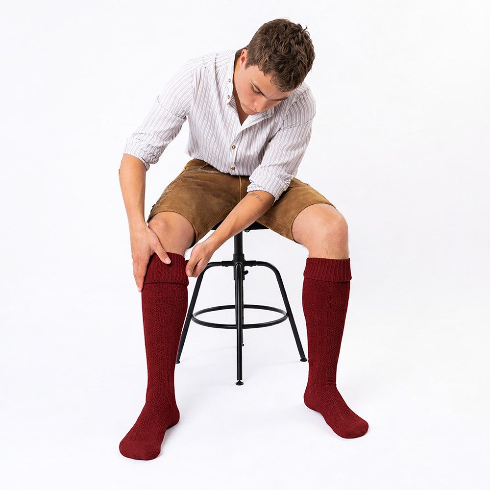 HerzSticht Trachtensocken Herren Lange Trachtensocken 1er Pack (Modell: Silberdistel) (1-Paar)