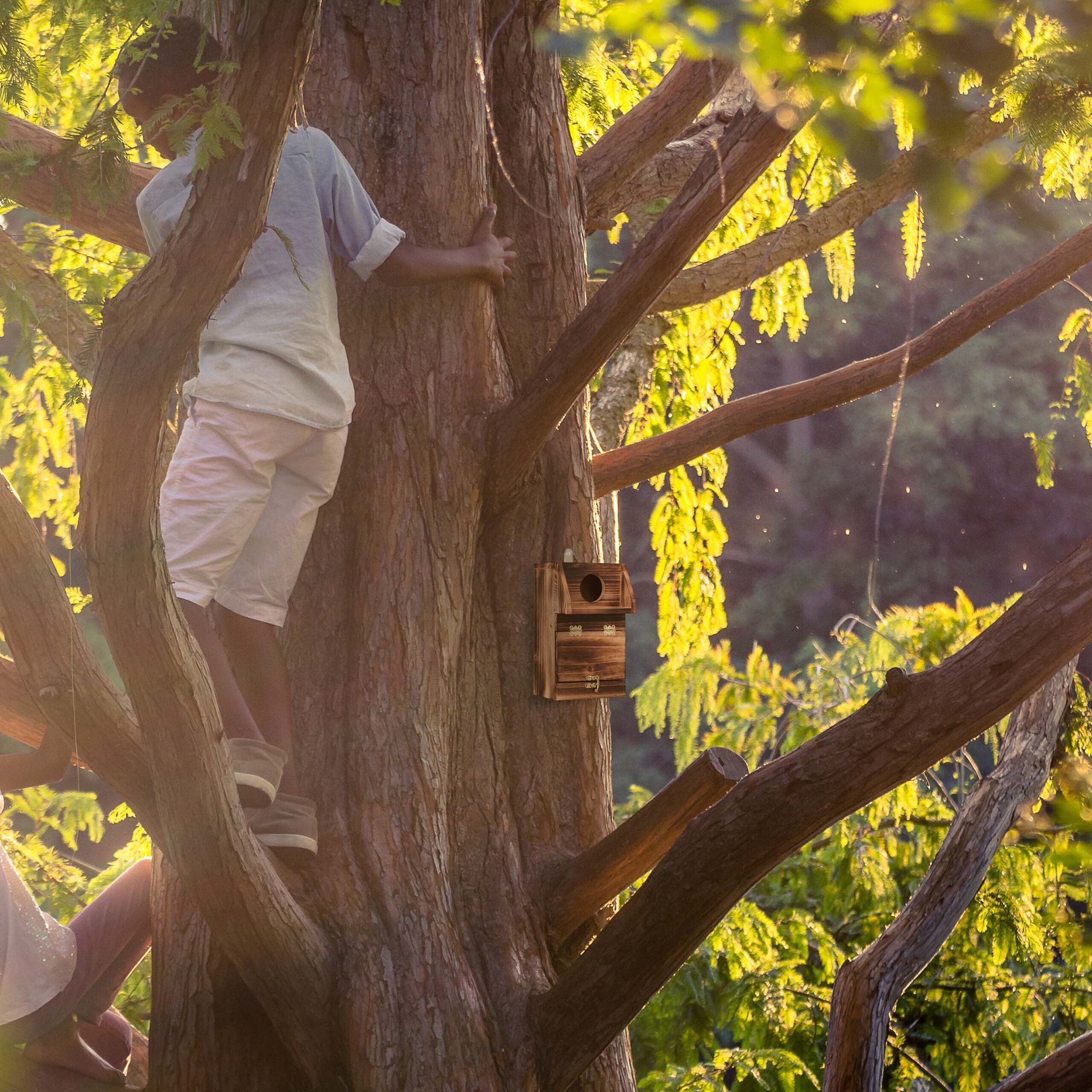 relaxdays Vogelhaus Nistkasten mit Reinigungsklappe