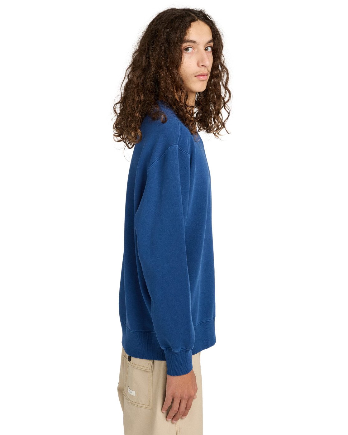 Element Sweatshirt Lowcase Pigment günstig online kaufen