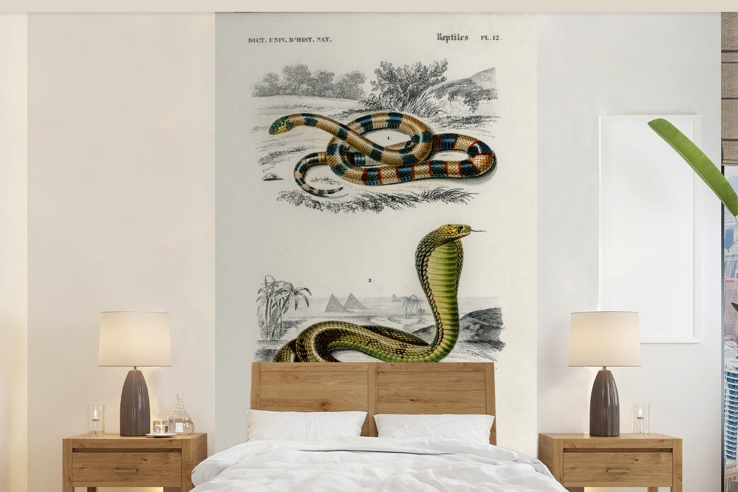 MuchoWow Fototapete Schlange - Jahrgang - Reptilien, Matt, bedruckt, (3 St), Wallpaper für Wohnzimmer, Schlafzimmer, Kinderzimmer, Vinyl Tapete