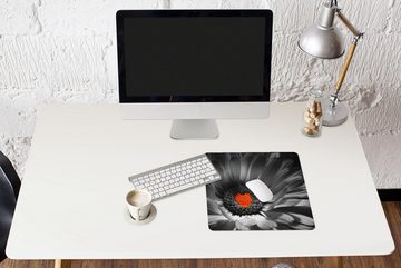 MuchoWow Gaming Mauspad Schwarz-Weiß-Foto einer Ringelblume mit einem roten Herz (1-St), Mousepad mit Rutschfester Unterseite, Gaming, 40x40 cm, XXL, Großes