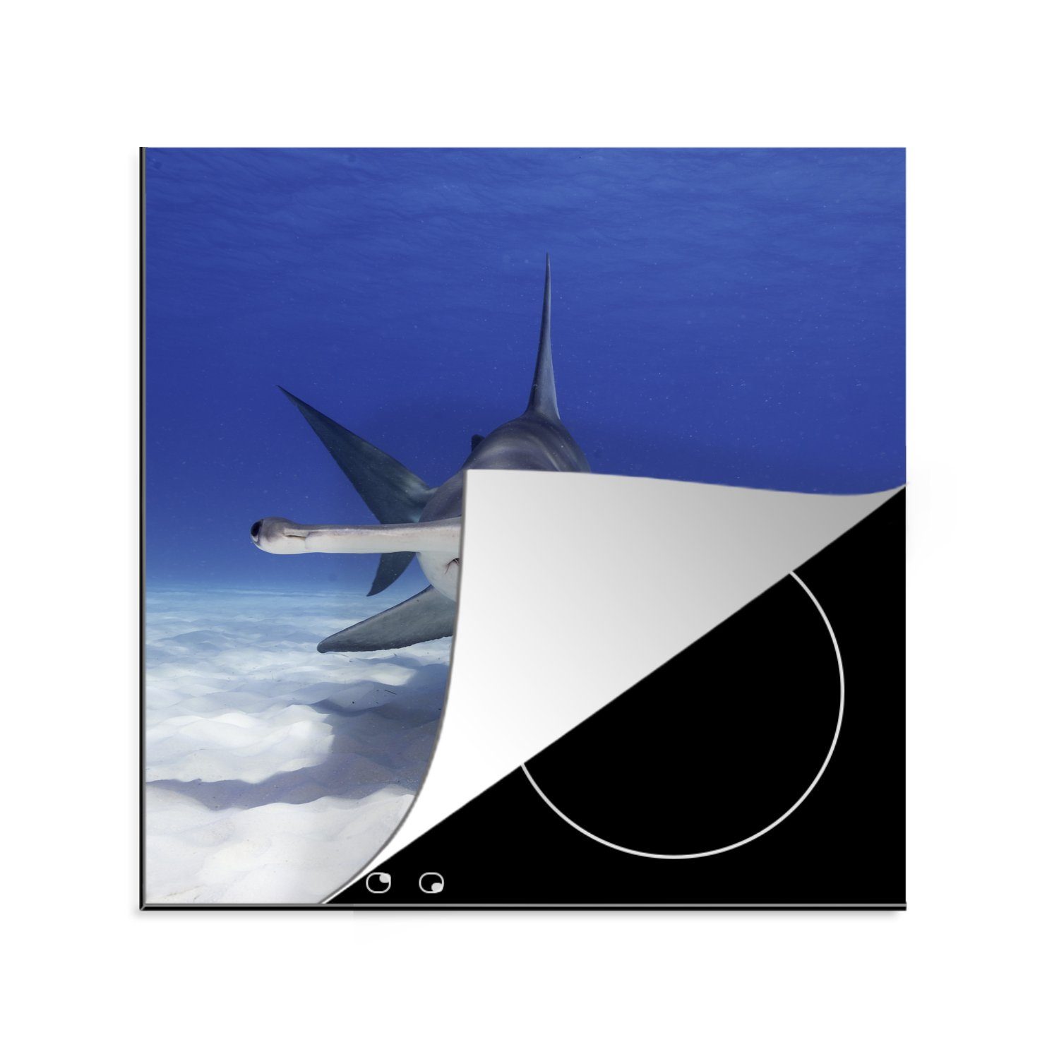 Hammerhai Herdblende-/Abdeckplatte in MuchoWow in (1 Vinyl, küche Ceranfeldabdeckung, cm, klaren Nähe einem Meer tlg), Ein der für 78x78 Meeresbodens, des Arbeitsplatte