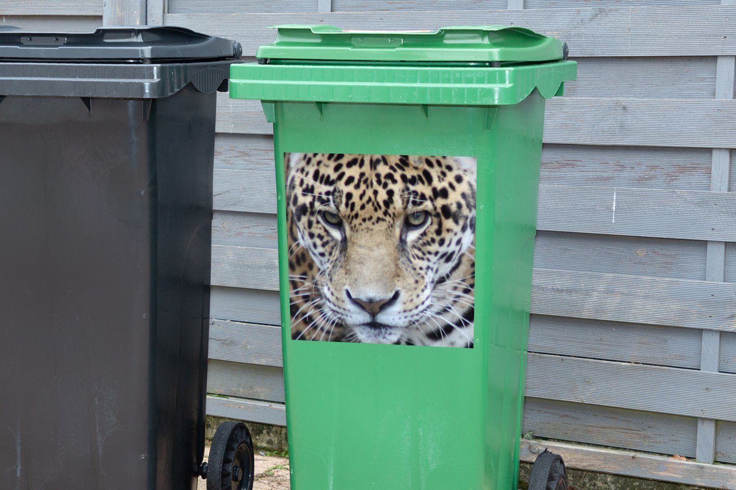 MuchoWow Wandsticker Jaguar Abfalbehälter Mülleimer-aufkleber, Container, - Raubtier Mülltonne, Augen St), Sticker, (1 