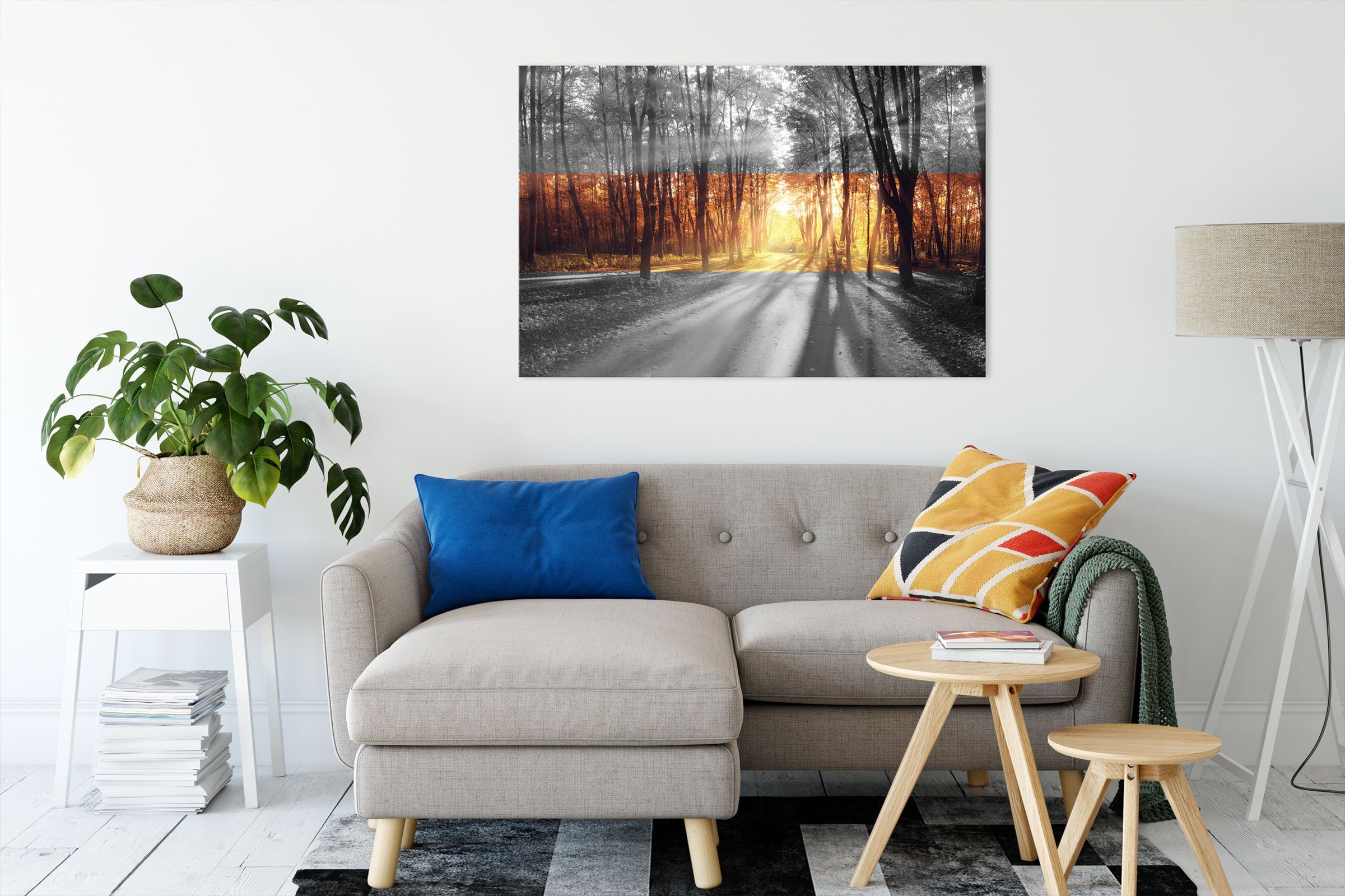Pixxprint Leinwandbild Allee im Herbstlicht, Allee günstig online kaufen