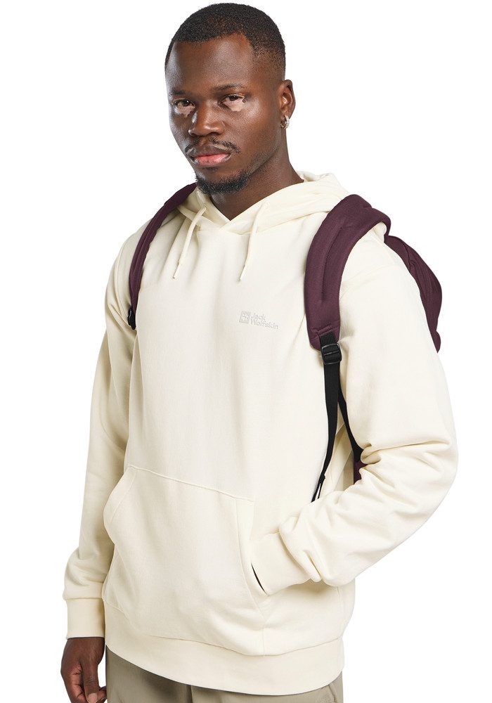 Jack Wolfskin Daypack TERRAVIEW günstig online kaufen