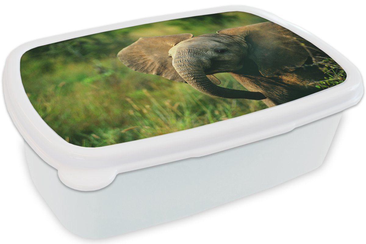 Lunchbox Mädchen Jungs MuchoWow Kinder Grün Brotdose, und Kunststoff, für Erwachsene, (2-tlg), Natur, für weiß Brotbox Tiere - und - Elefant -