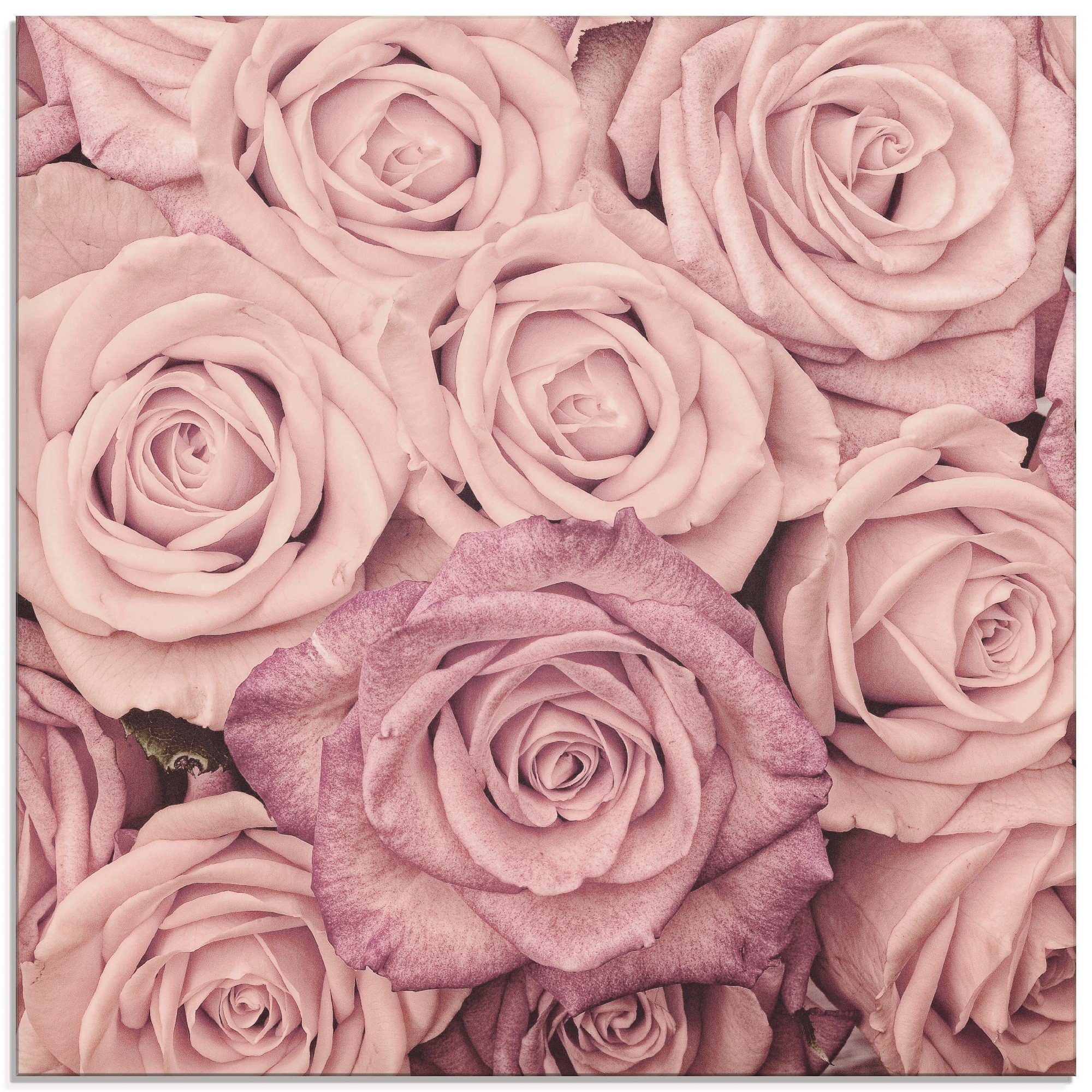 Artland Glasbild Rosen, Blumen (1 St), in verschiedenen Größen