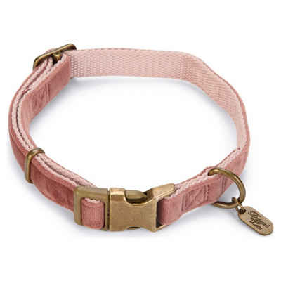 Designed By Lotte Hunde-Halsband Hundehalsband Velura pink
