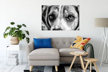 Pixxprint Leinwandbild große Beagle-Augen, große Beagle-Augen (1 St), Leinwandbild fertig bespannt, inkl. Zackenaufhänger