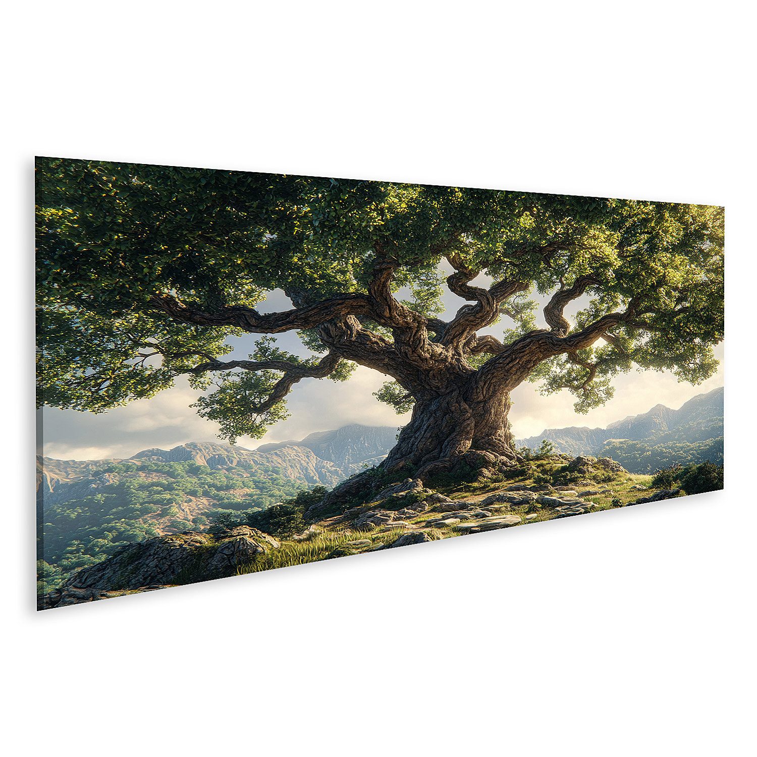 islandburner Leinwandbild, Majestätischer alter Baum in einer Berglandschaft