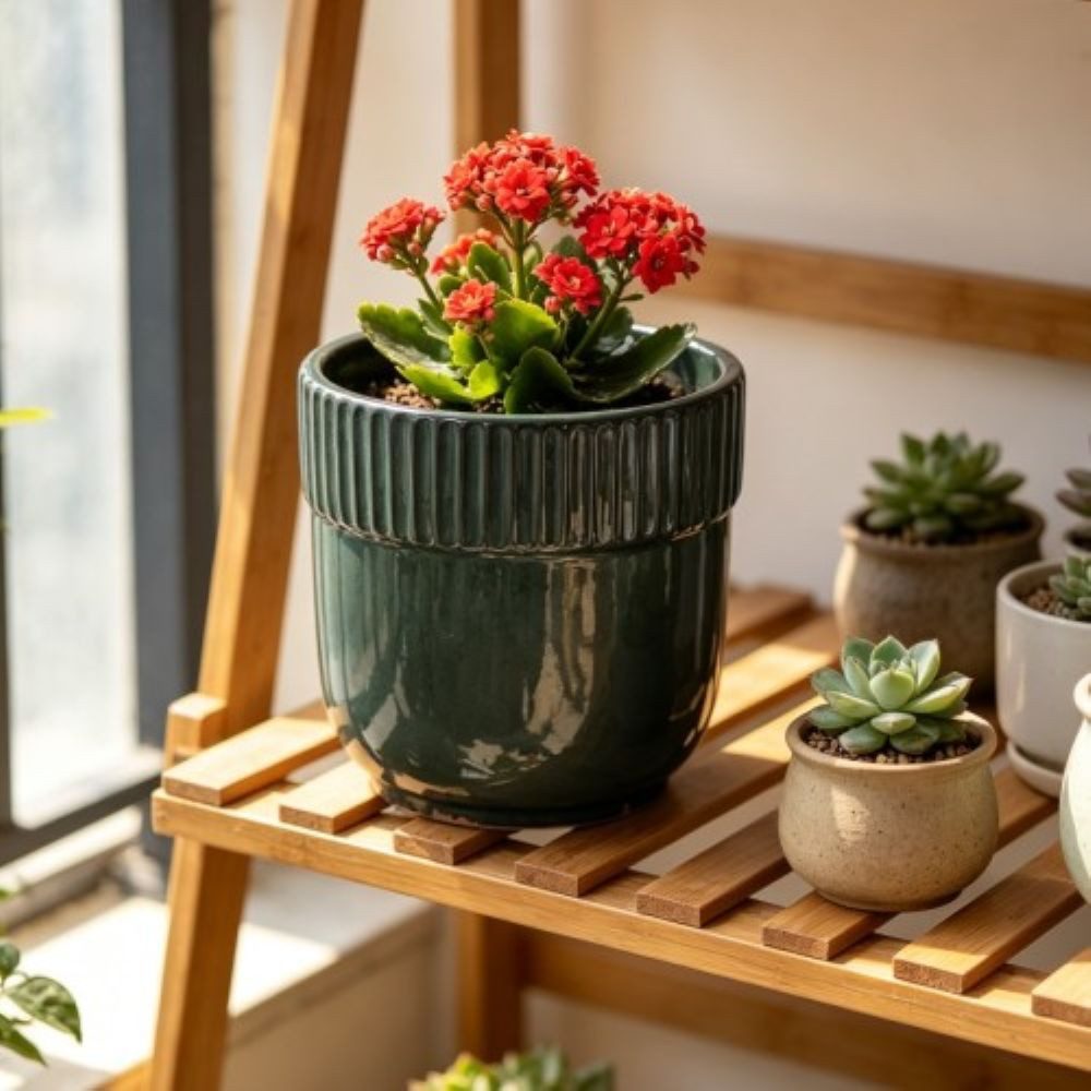 Rolipo Blumentopf Pflanztopf Keramik 23 cm handgefertigt mit Rillenrand Blumentopf (1 St), Kältebeständig, mit Abflusslöchern, geeignet für Balkone
