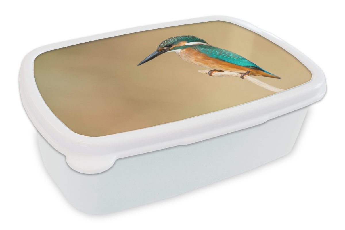 Kunststoff, Brotbox Lunchbox Tiere Erwachsene, MuchoWow weiß und Mädchen und für für - Eisvogel Brotdose, Vogel, (2-tlg), - Jungs Kinder