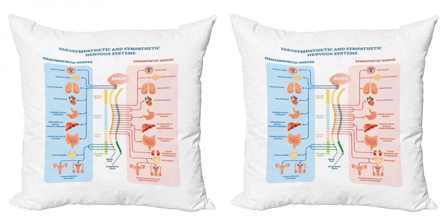 Kissenbezüge Modern Accent Doppelseitiger Digitaldruck, Anatomie (2 Abakuhaus Struktur Stück), Nervensystems
