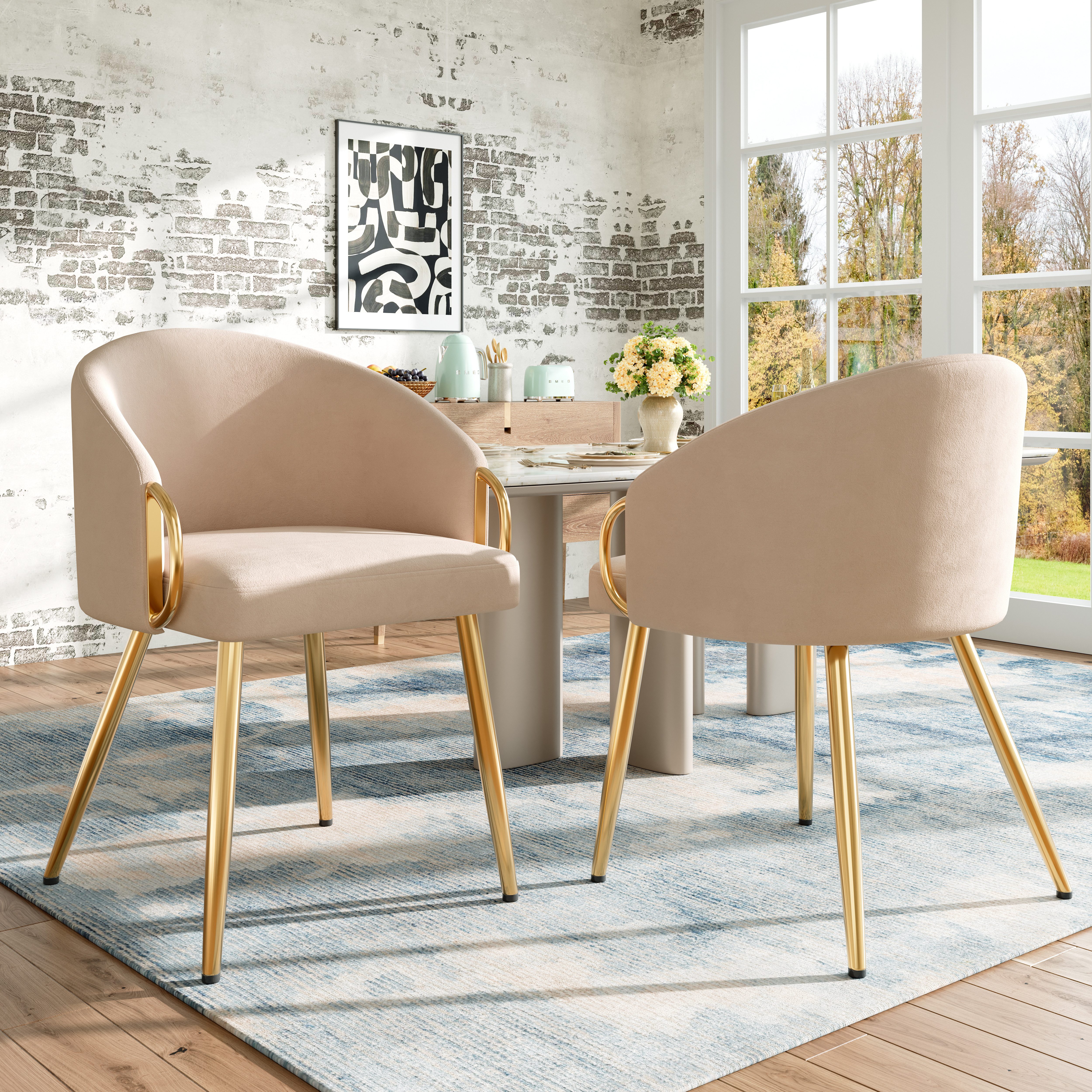 OKWISH Esszimmerstuhl Loungesessel,Kosmetikstuhl,Esszimmerstuhl (Luxuriöser günstig online kaufen